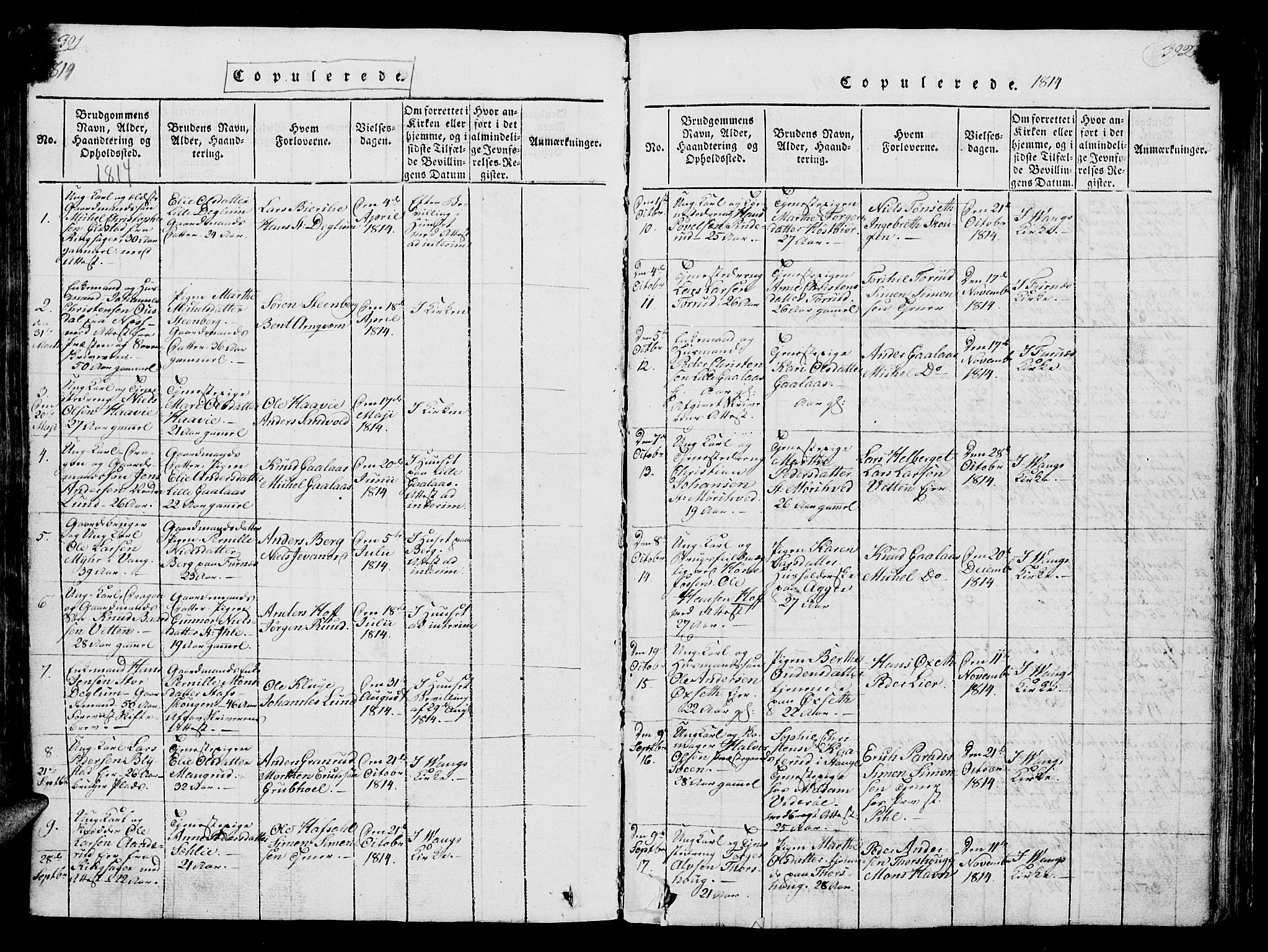 Vang prestekontor, Hedmark, SAH/PREST-008/H/Ha/Hab/L0004: Parish register (copy) no. 4, 1813-1827, p. 391-392