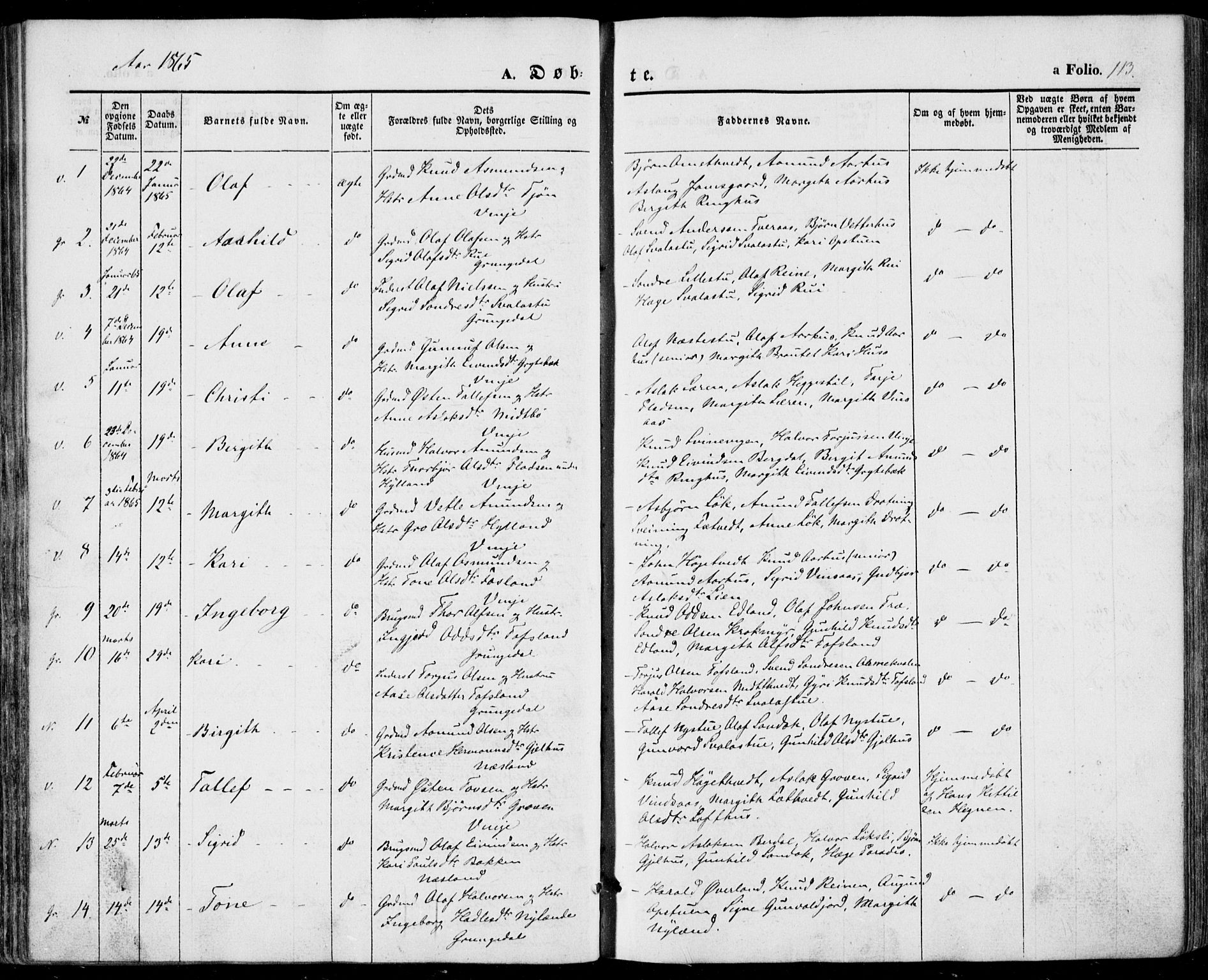 Vinje kirkebøker, SAKO/A-312/F/Fa/L0004: Parish register (official) no. I 4, 1843-1869, p. 113