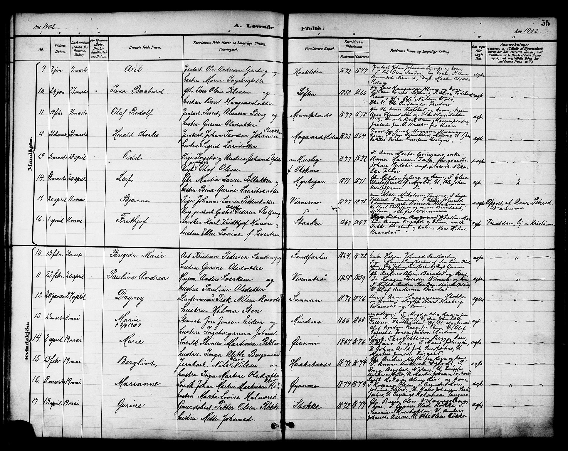 Ministerialprotokoller, klokkerbøker og fødselsregistre - Nord-Trøndelag, SAT/A-1458/709/L0087: Parish register (copy) no. 709C01, 1892-1913, p. 55