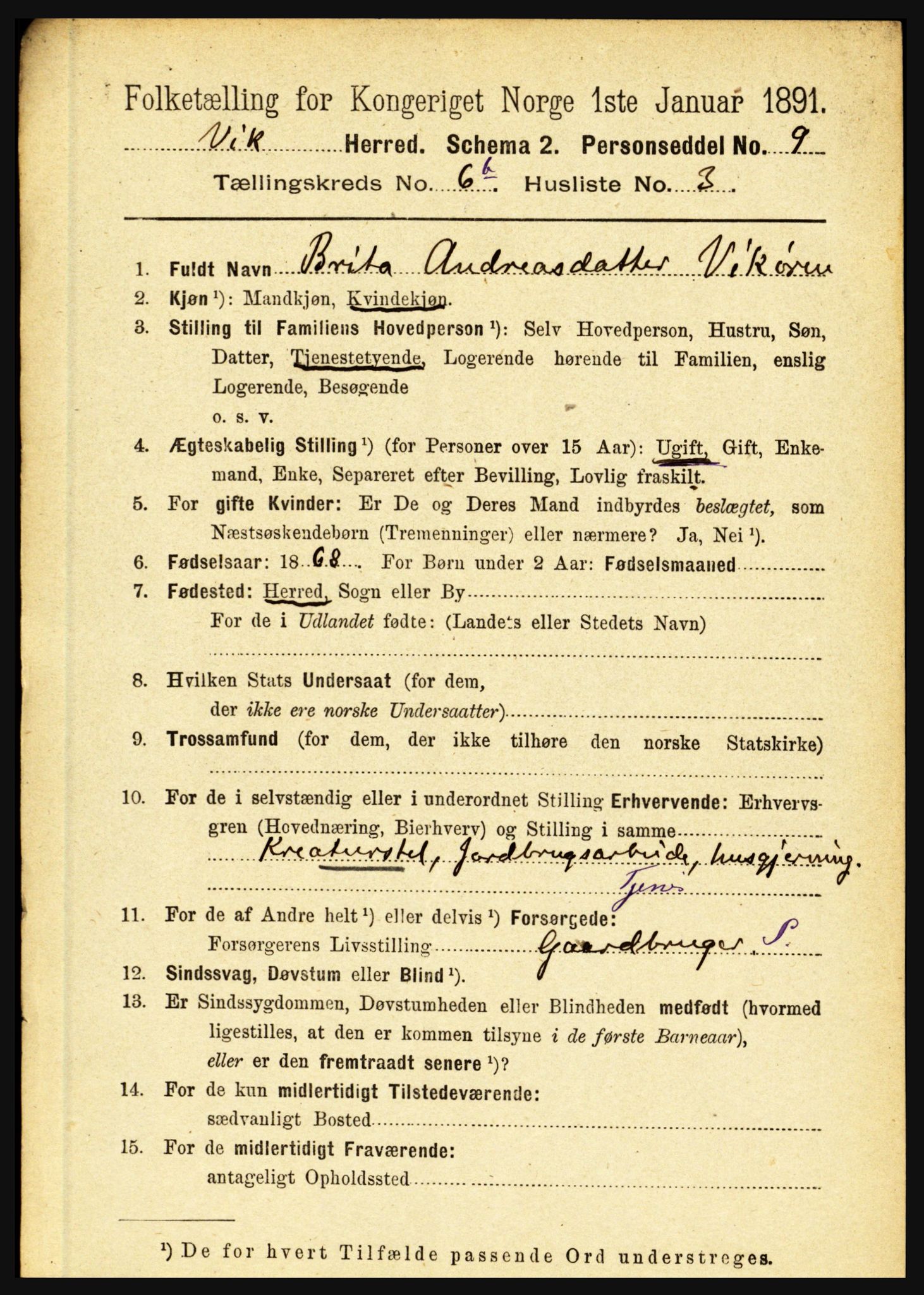 RA, 1891 census for 1417 Vik, 1891, p. 3164