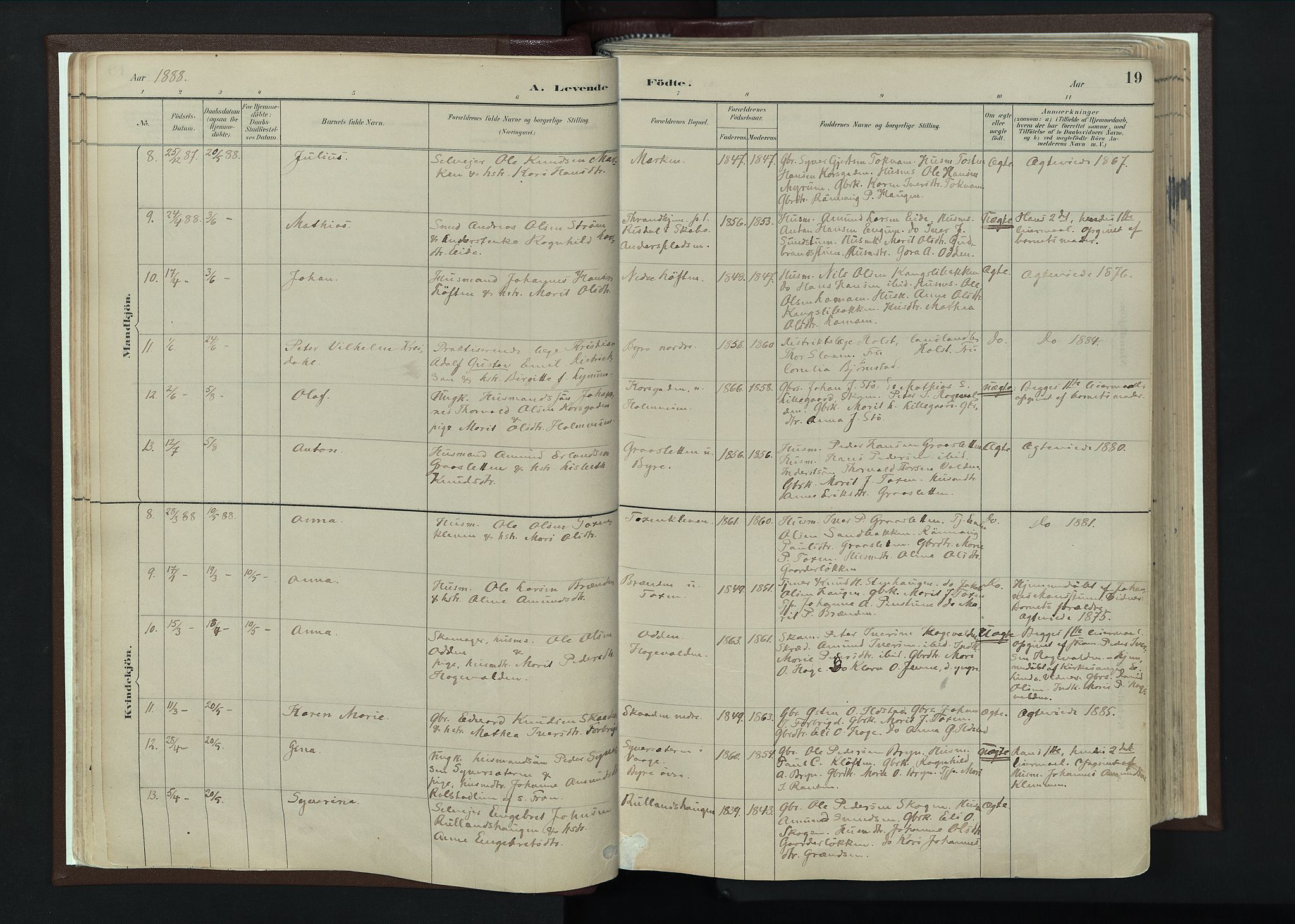 Nord-Fron prestekontor, AV/SAH-PREST-080/H/Ha/Haa/L0004: Parish register (official) no. 4, 1884-1914, p. 19