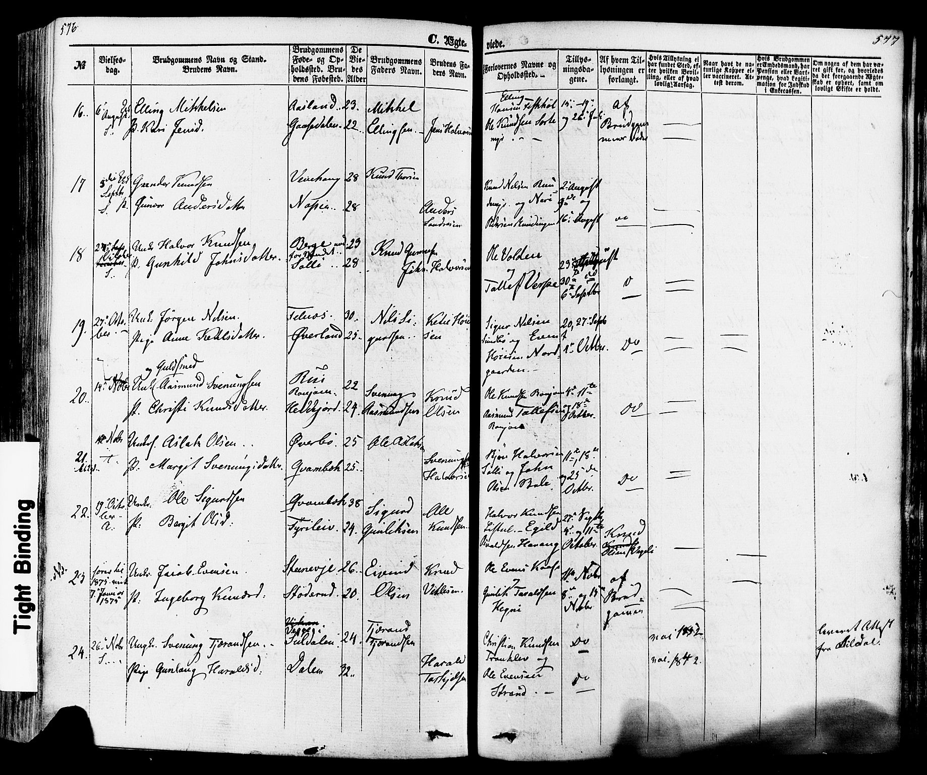 Seljord kirkebøker, SAKO/A-20/F/Fa/L0013: Parish register (official) no. I 13, 1866-1876, p. 576-577