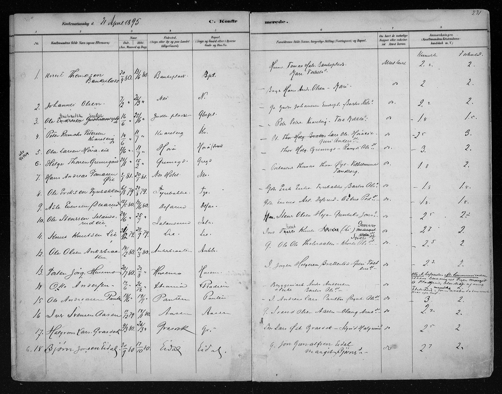 Nes kirkebøker, SAKO/A-236/F/Fa/L0011: Parish register (official) no. 11, 1881-1912, p. 231