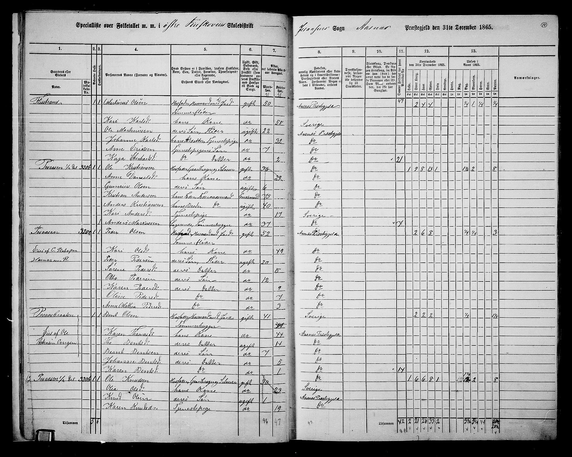 RA, 1865 census for Åsnes, 1865, p. 15