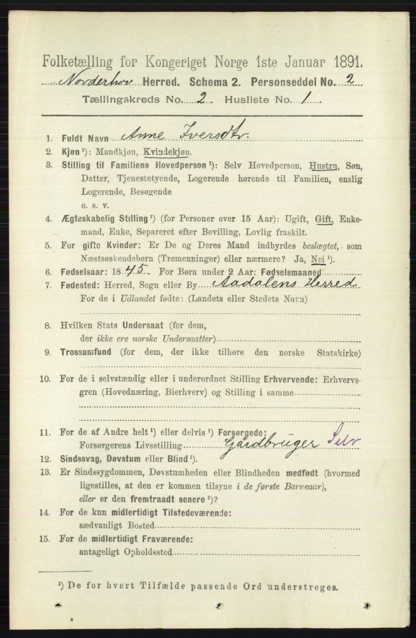 RA, 1891 census for 0613 Norderhov, 1891, p. 696