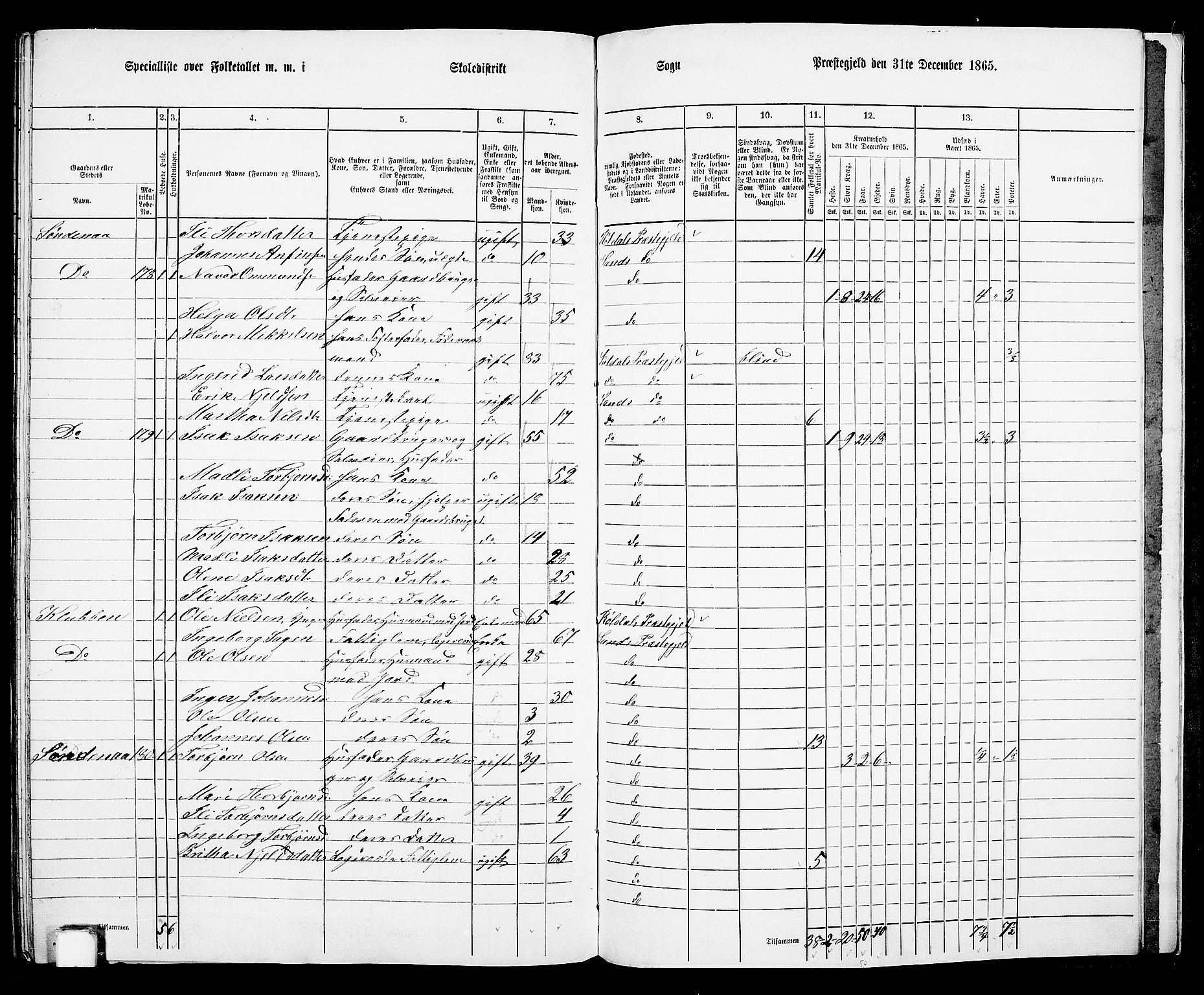 RA, 1865 census for Sand, 1865, p. 156