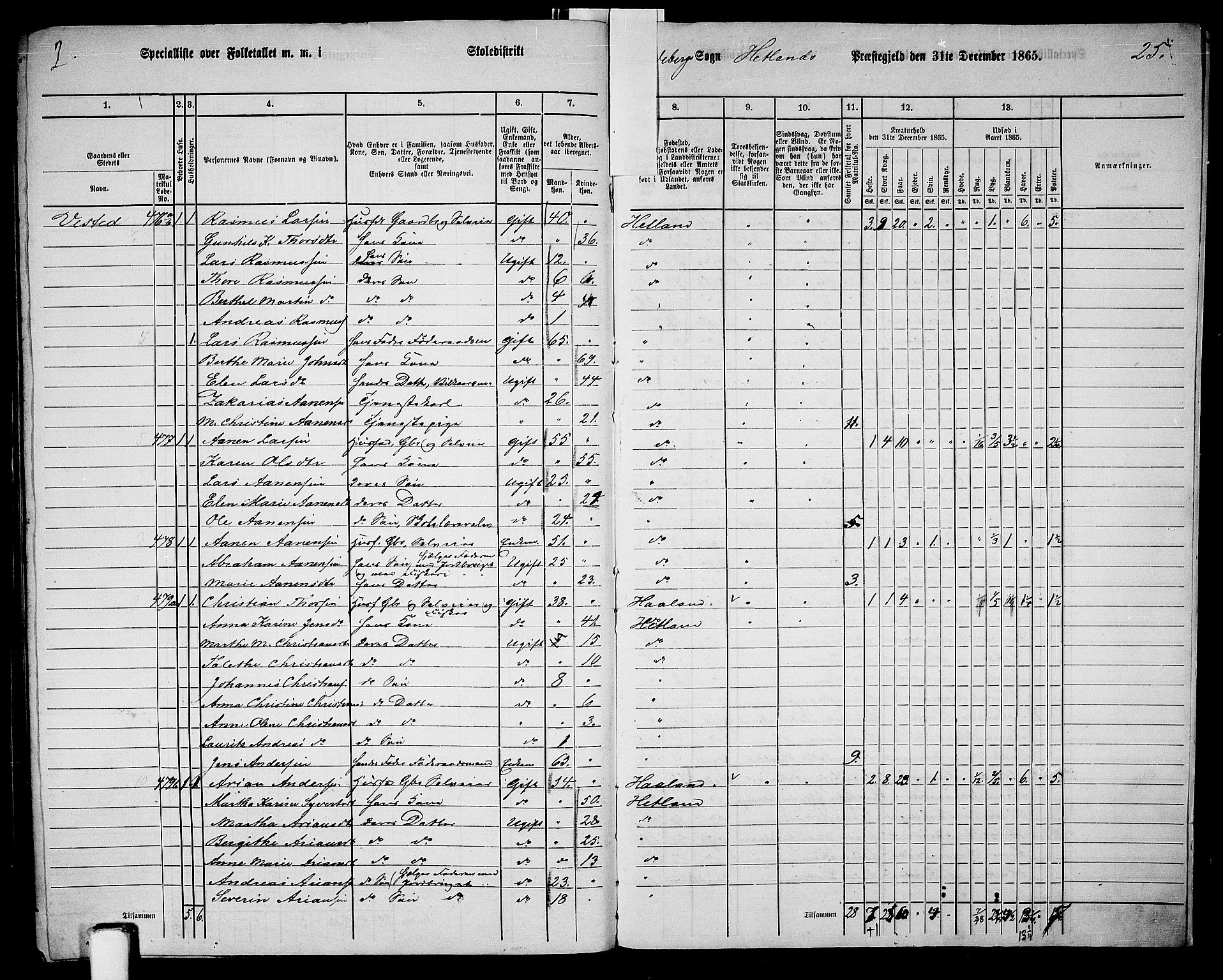 RA, 1865 census for Hetland, 1865, p. 212