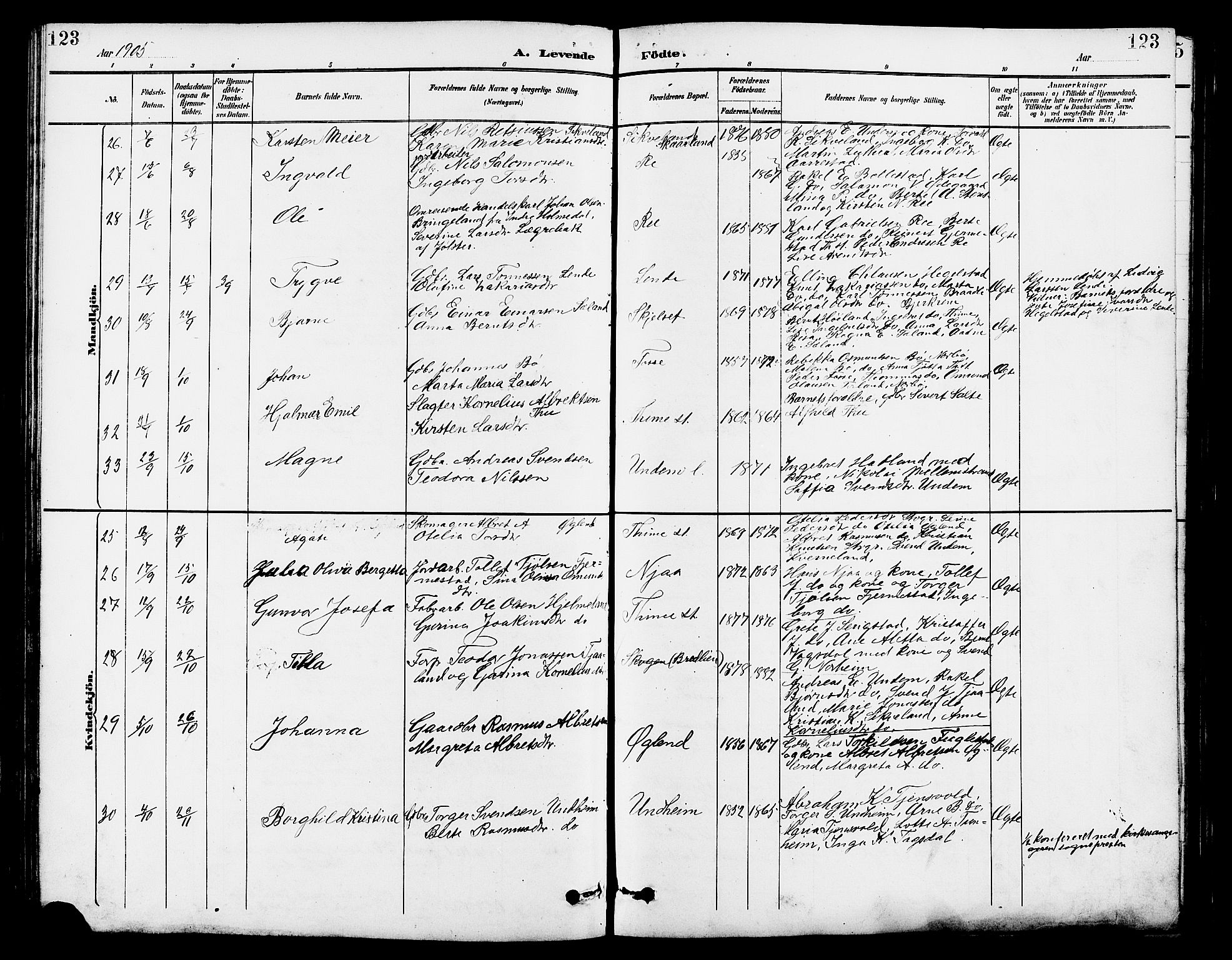 Lye sokneprestkontor, AV/SAST-A-101794/001/30BB/L0007: Parish register (copy) no. B 8, 1889-1909, p. 123