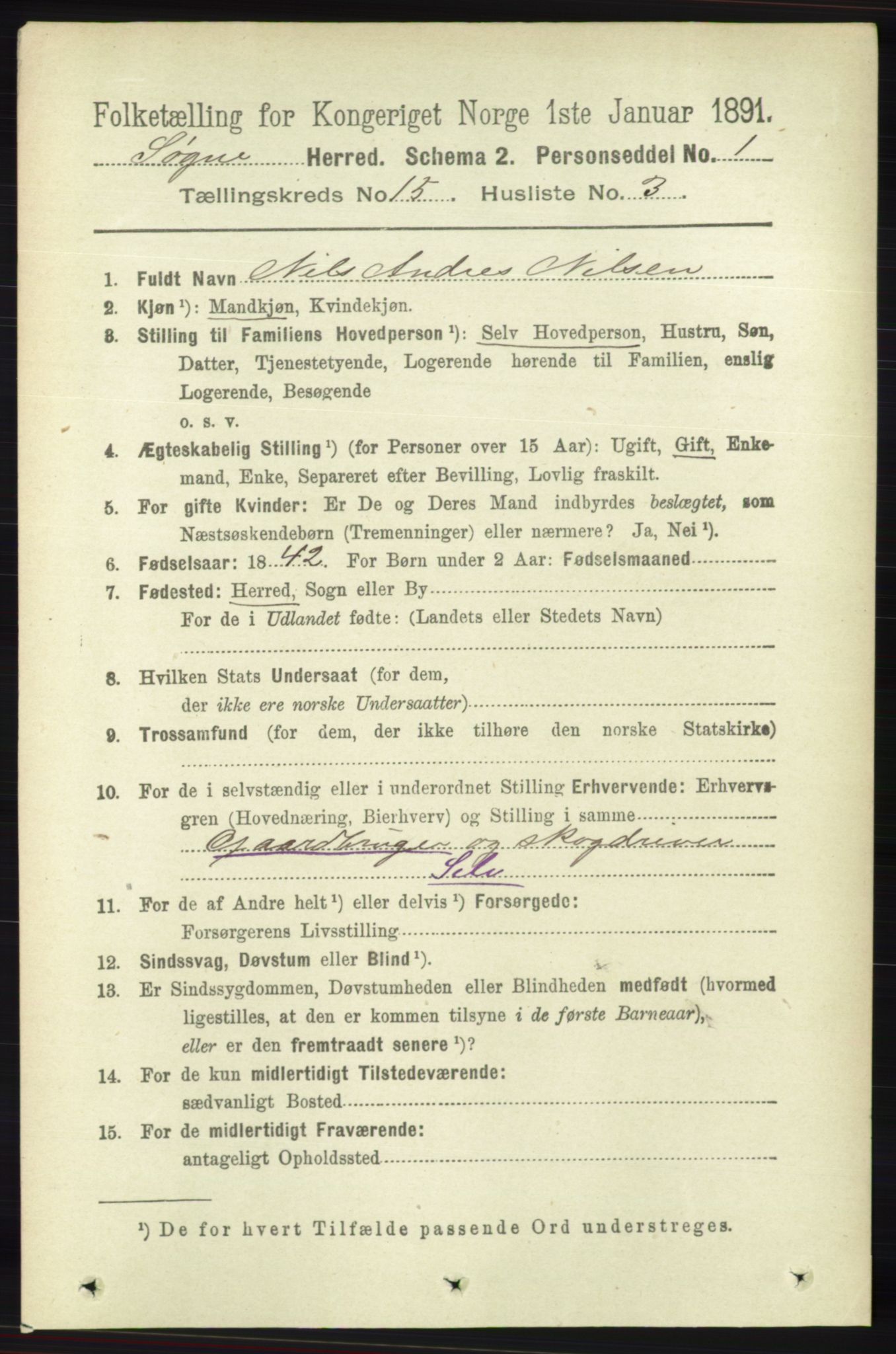 RA, 1891 census for 1018 Søgne, 1891, p. 3905