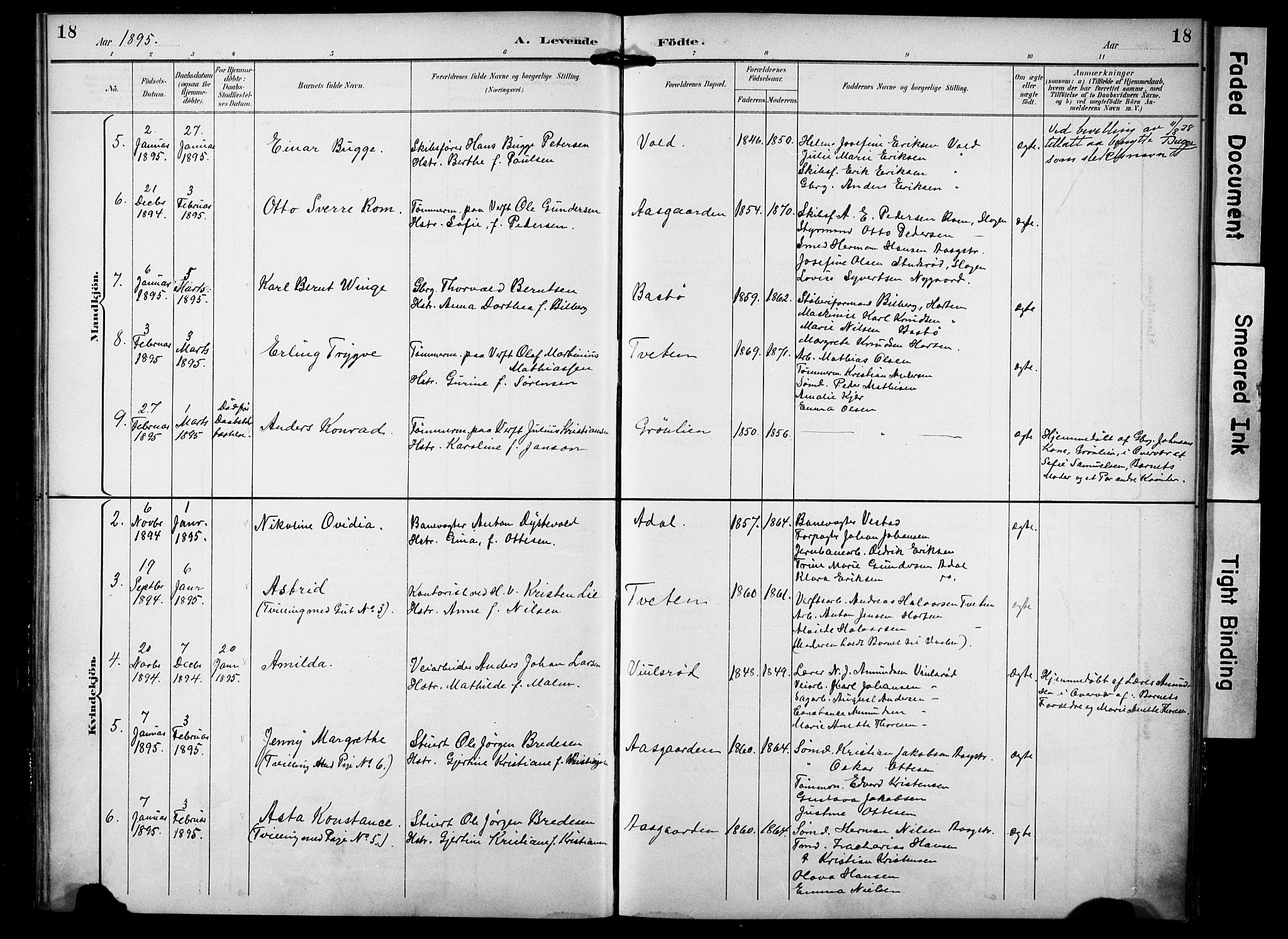 Borre kirkebøker, SAKO/A-338/F/Fa/L0010: Parish register (official) no. I 10, 1892-1896, p. 18