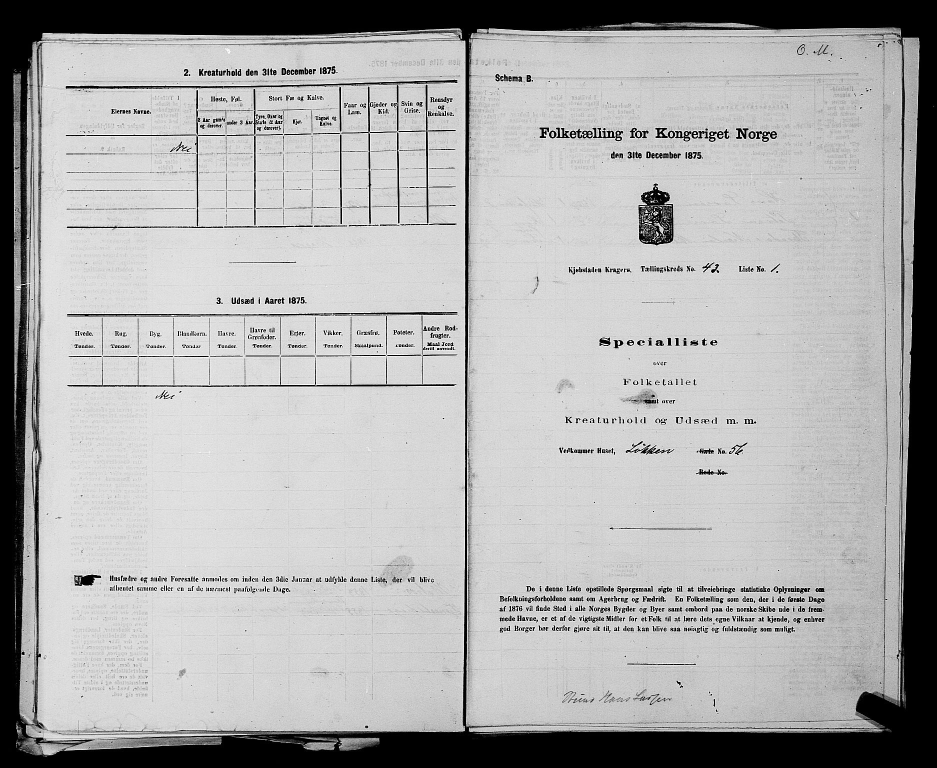 SAKO, 1875 census for 0801P Kragerø, 1875, p. 941