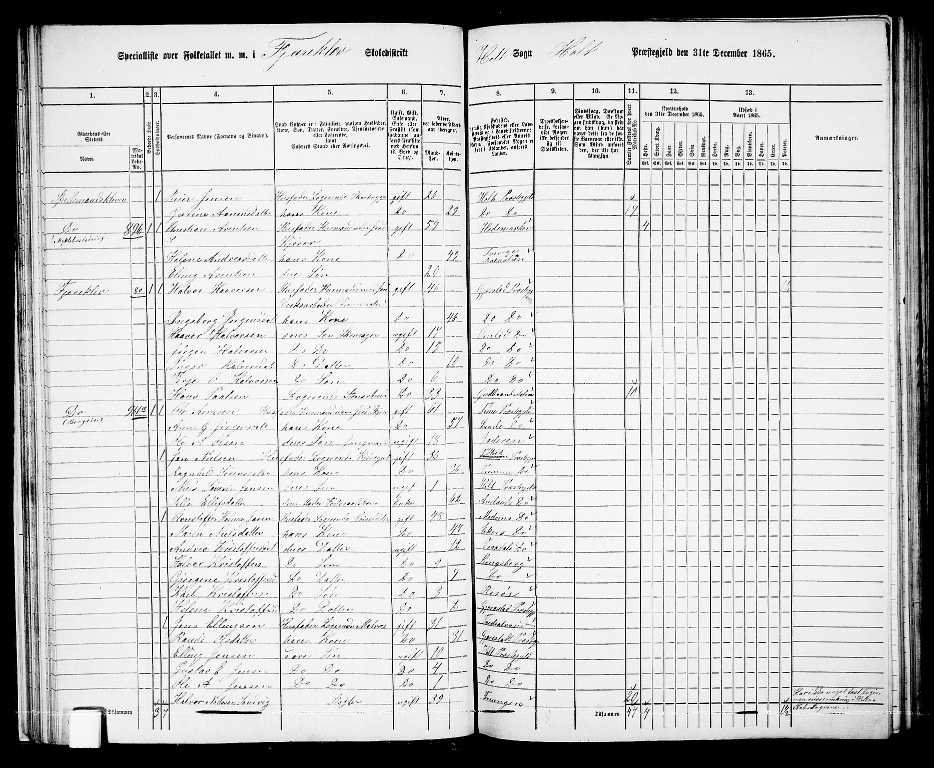 RA, 1865 census for Holt/Holt, 1865, p. 39