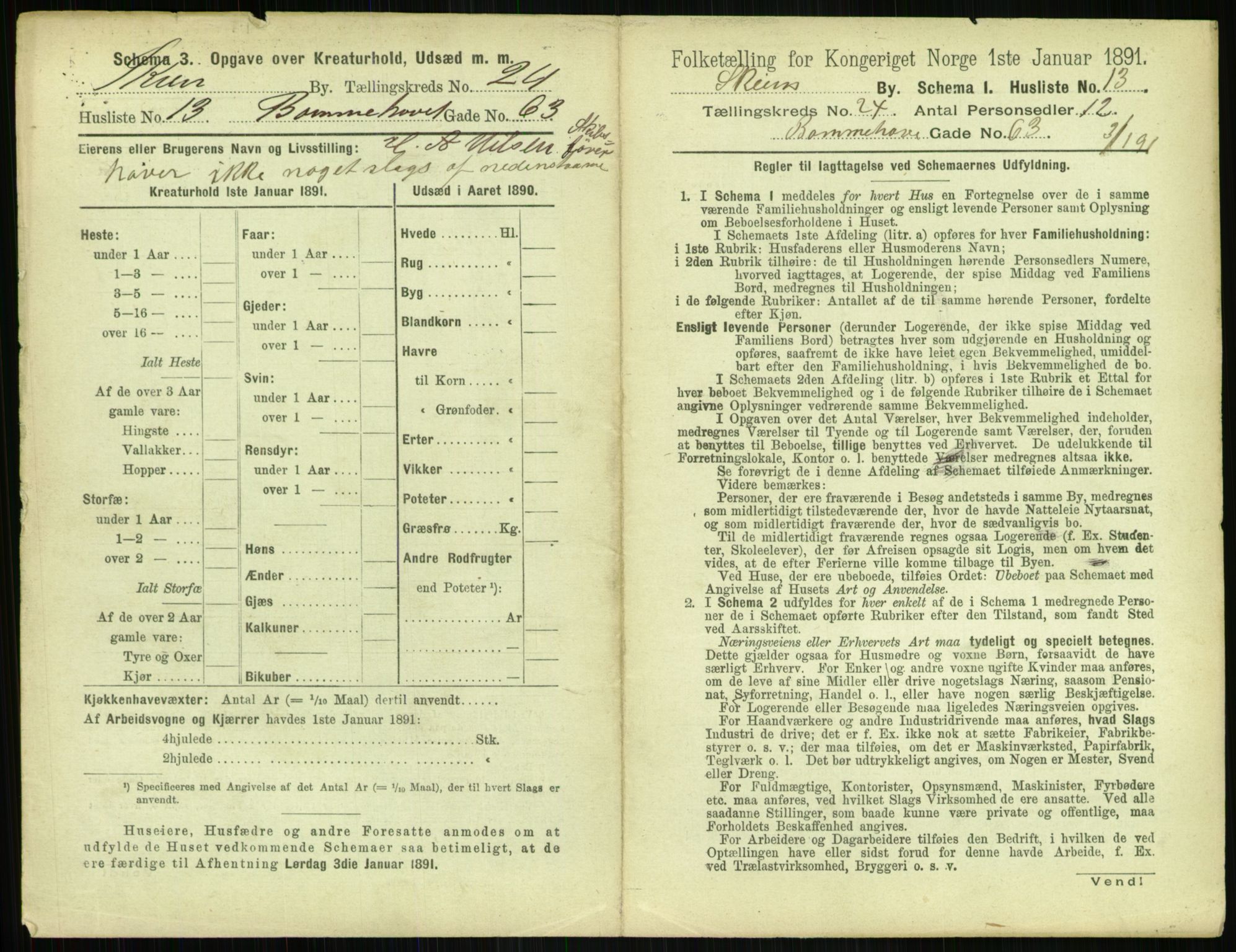 RA, 1891 census for 0806 Skien, 1891, p. 916