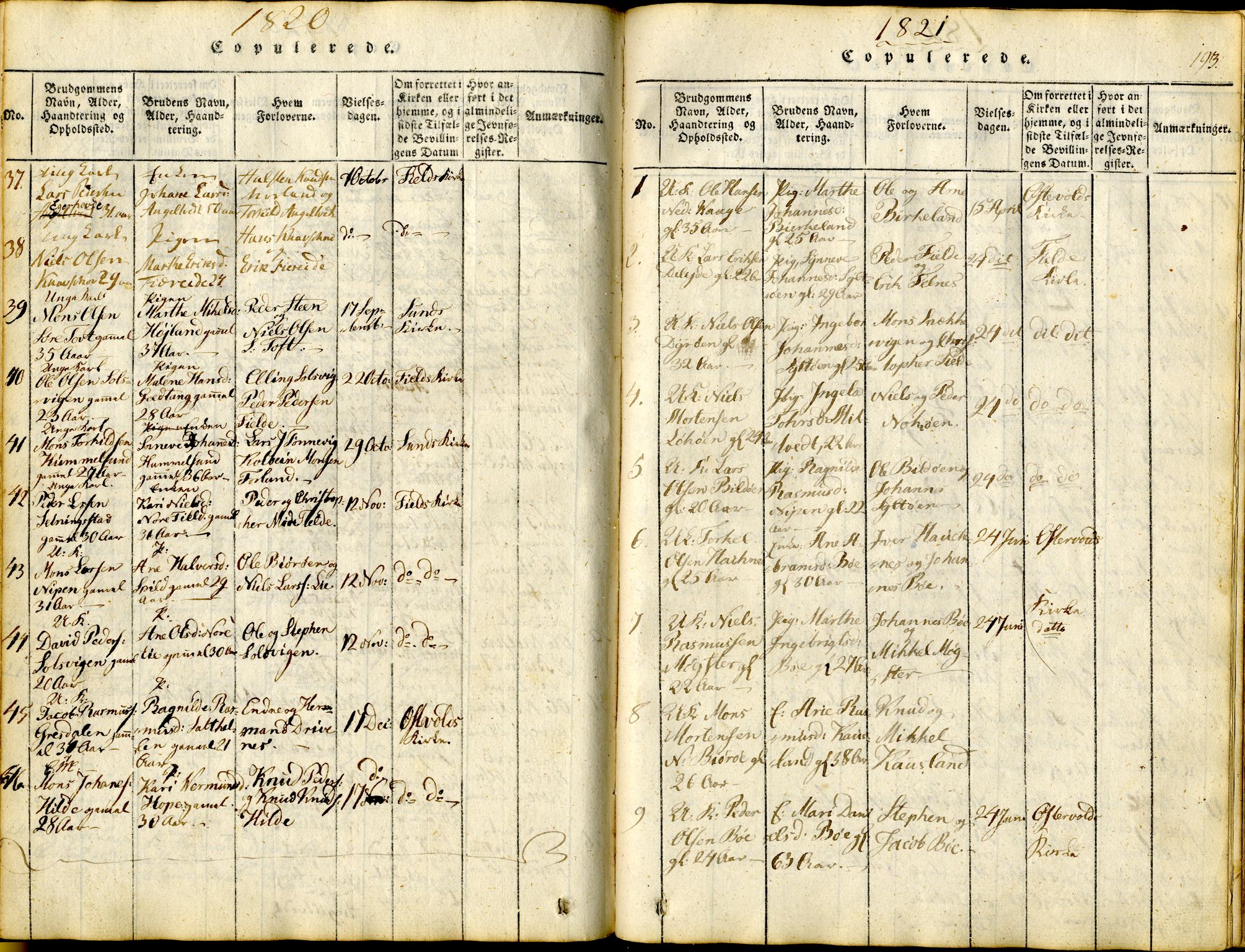 Sund sokneprestembete, SAB/A-99930: Parish register (official) no. A 11, 1814-1825, p. 193