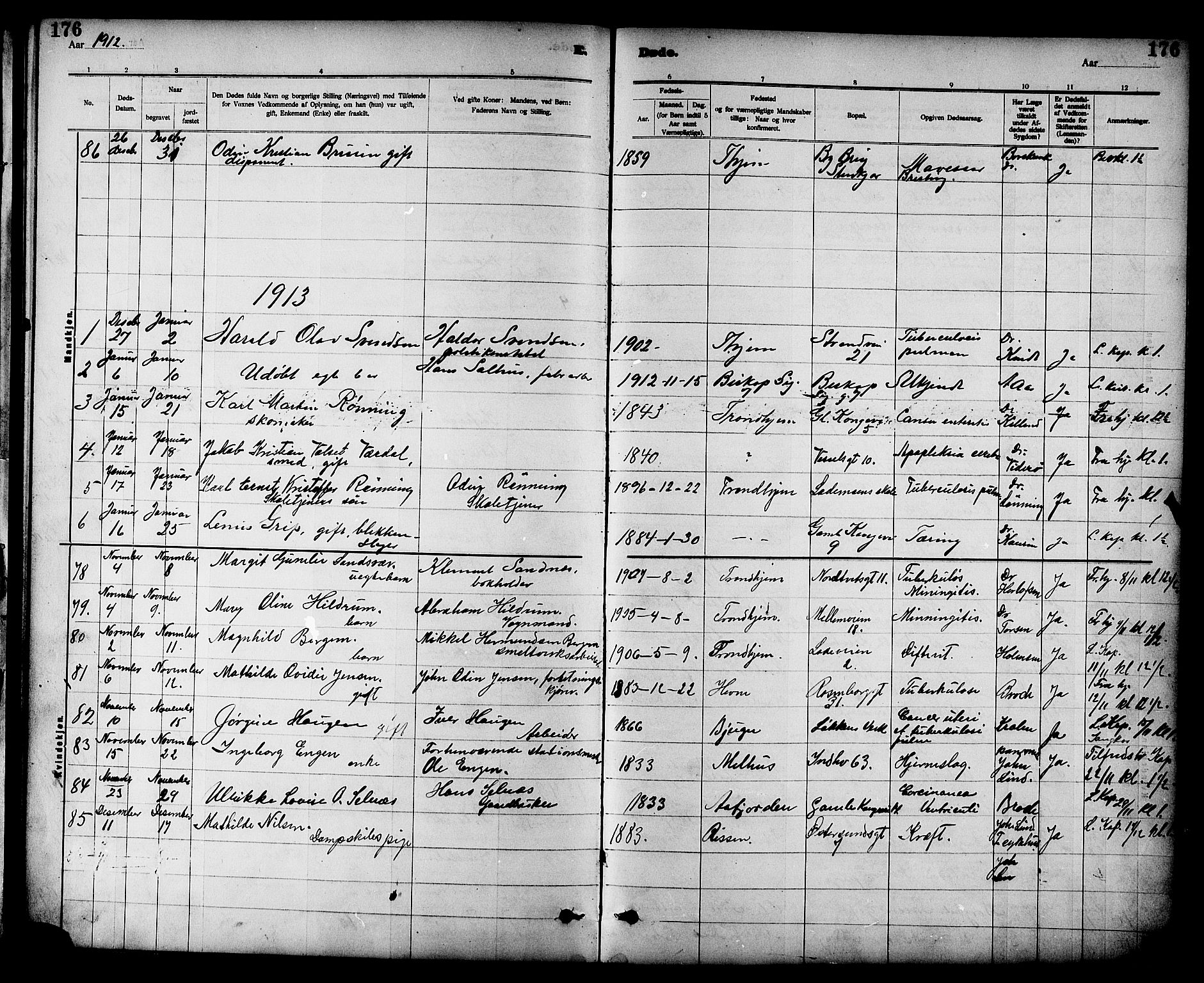 Ministerialprotokoller, klokkerbøker og fødselsregistre - Sør-Trøndelag, AV/SAT-A-1456/605/L0255: Parish register (copy) no. 605C02, 1908-1918, p. 176