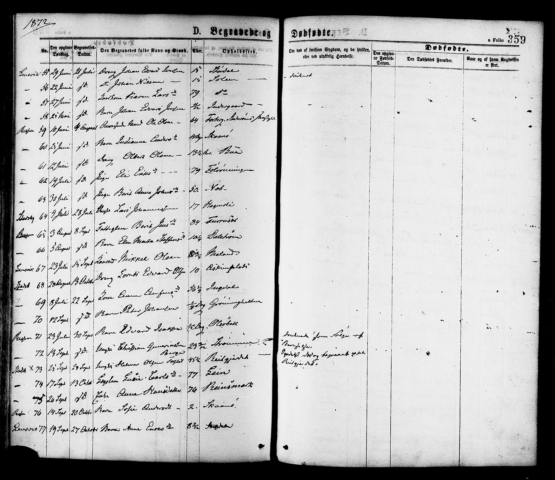 Ministerialprotokoller, klokkerbøker og fødselsregistre - Sør-Trøndelag, SAT/A-1456/646/L0613: Parish register (official) no. 646A11, 1870-1884, p. 359