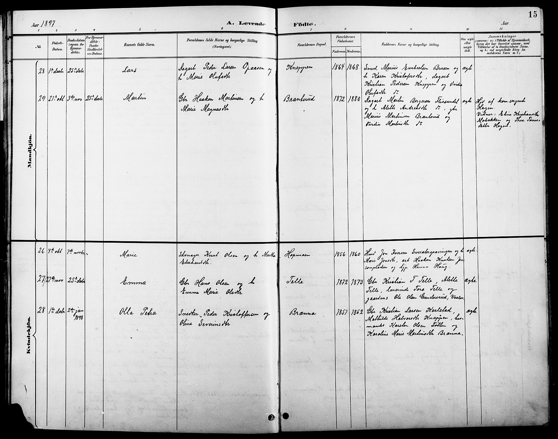 Åsnes prestekontor, SAH/PREST-042/H/Ha/Hab/L0004: Parish register (copy) no. 4, 1895-1909, p. 15