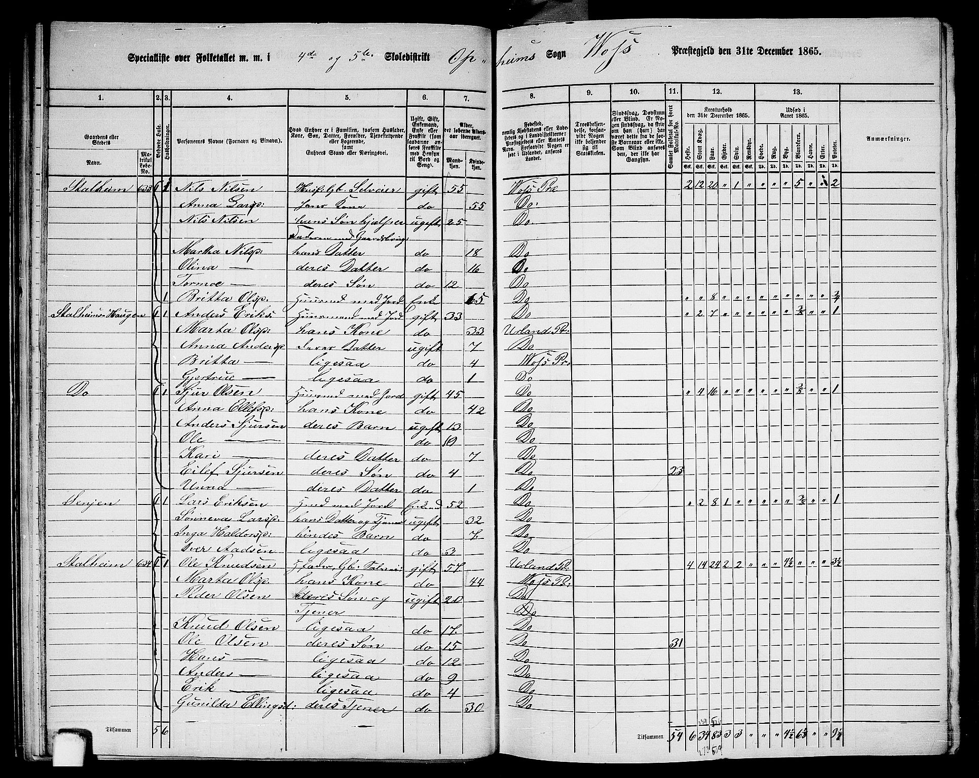 RA, 1865 census for Voss, 1865, p. 258