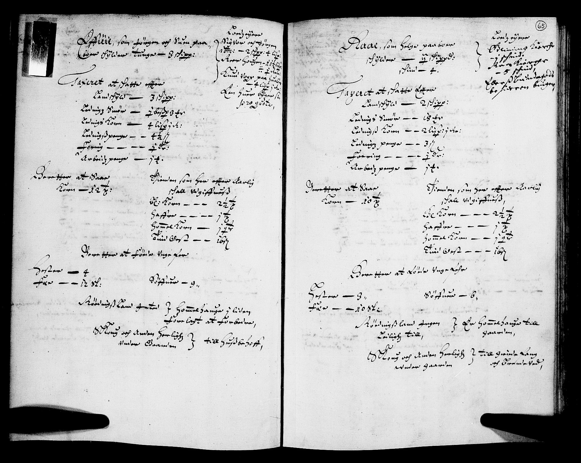 Rentekammeret inntil 1814, Realistisk ordnet avdeling, AV/RA-EA-4070/N/Nb/Nba/L0004: Tune, Veme, Åbygge og Hvaler, 1. del, 1667, p. 64b-65a