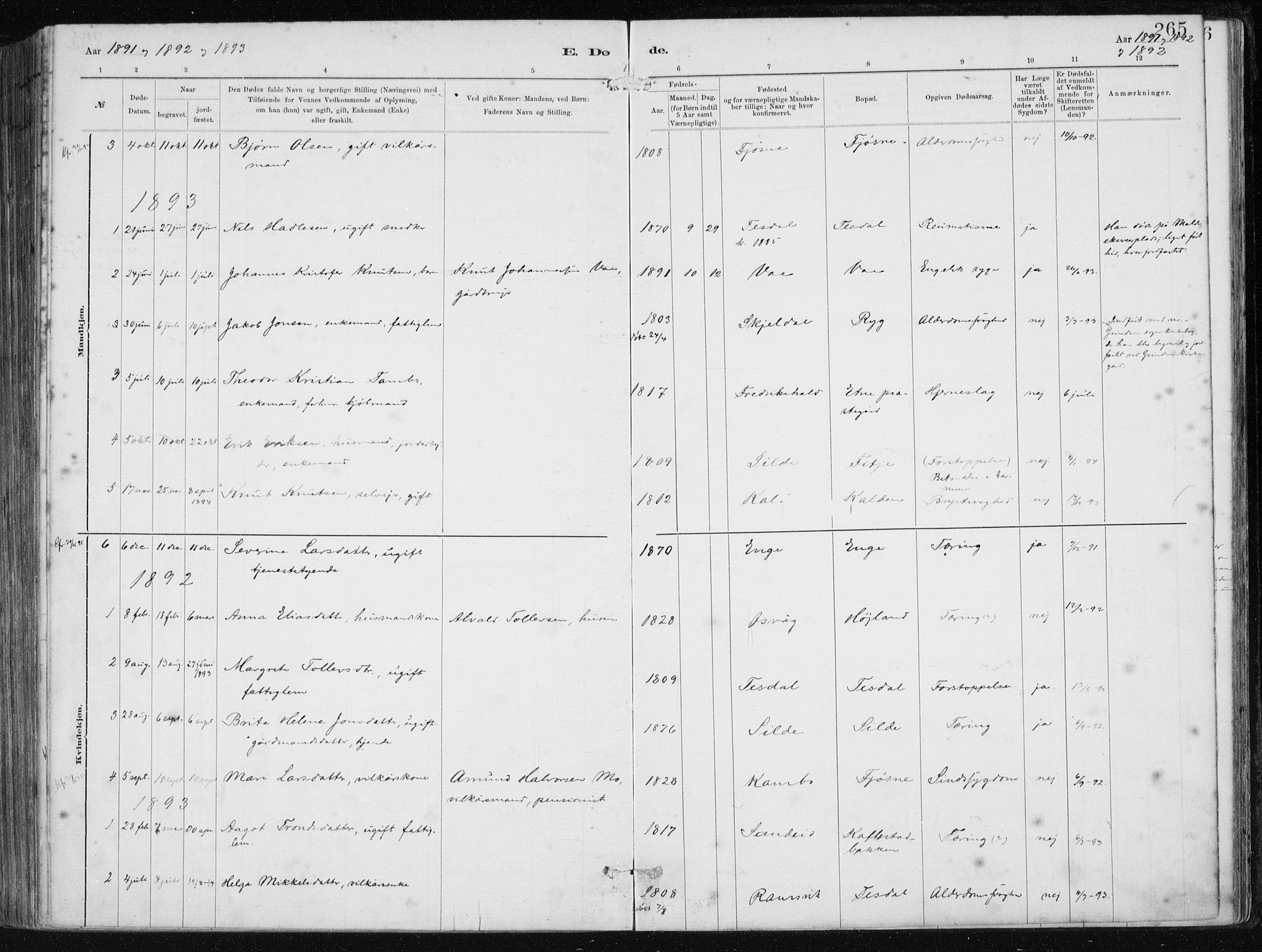 Etne sokneprestembete, AV/SAB-A-75001/H/Haa: Parish register (official) no. B  1, 1879-1919, p. 265