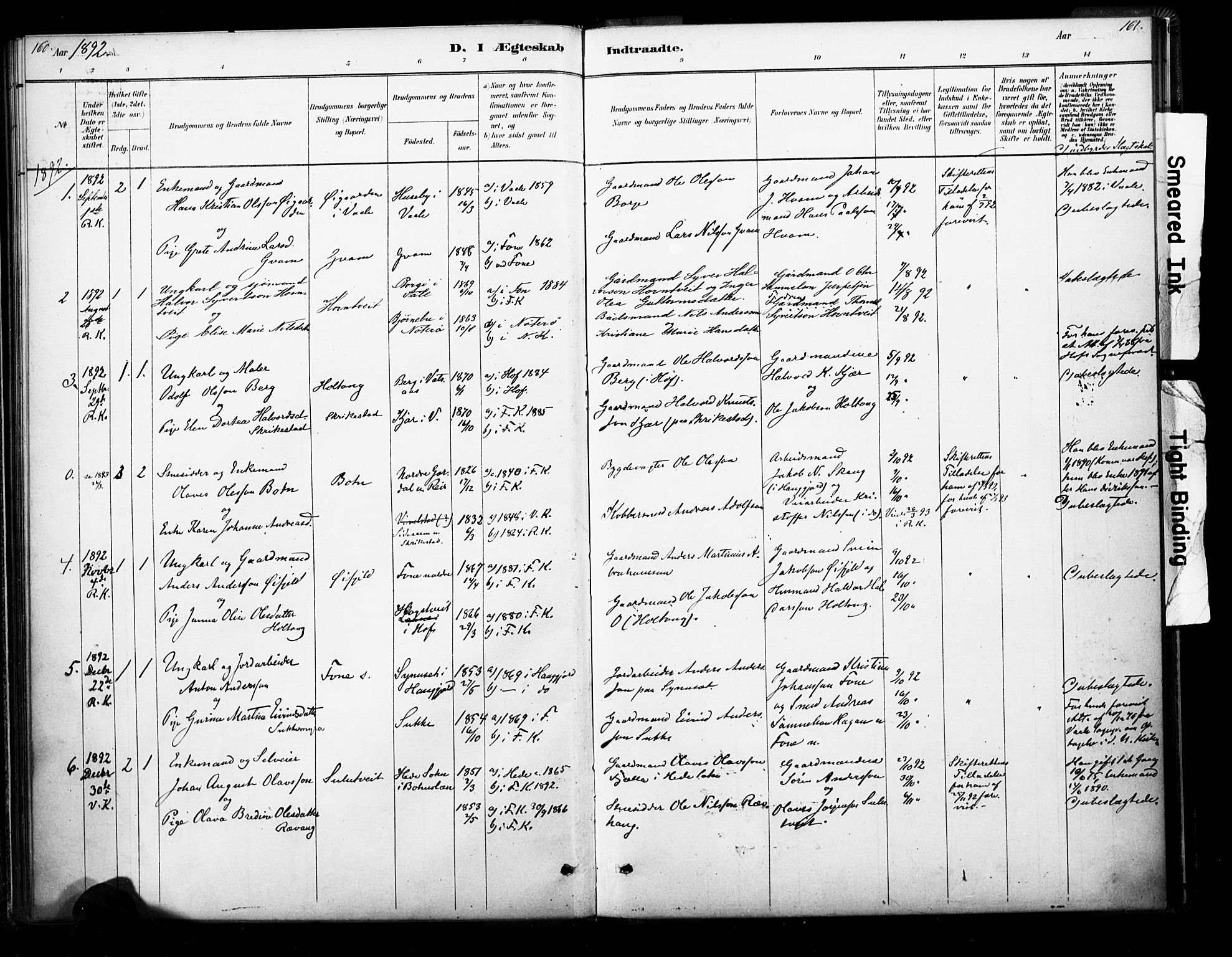 Ramnes kirkebøker, SAKO/A-314/F/Fb/L0001: Parish register (official) no. II 1, 1878-1894, p. 160-161