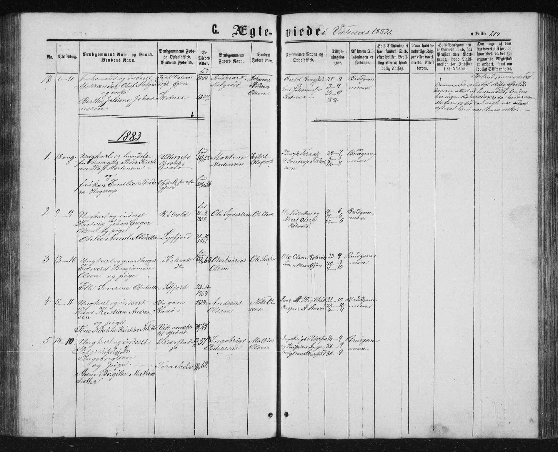 Ministerialprotokoller, klokkerbøker og fødselsregistre - Nordland, AV/SAT-A-1459/810/L0158: Parish register (copy) no. 810C02 /1, 1863-1883, p. 214