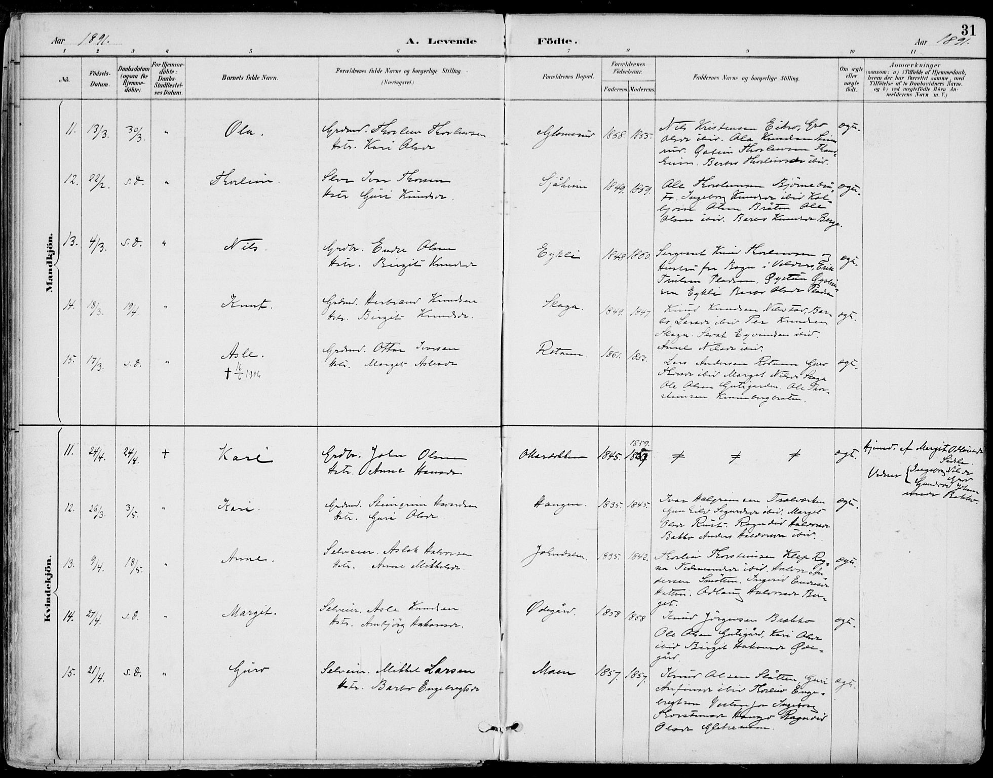 Gol kirkebøker, AV/SAKO-A-226/F/Fa/L0005: Parish register (official) no. I 5, 1887-1900, p. 31