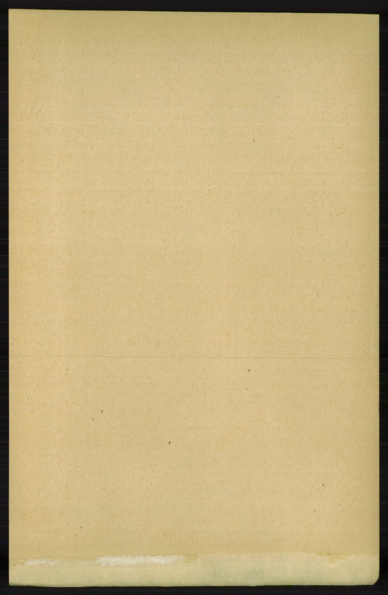 RA, 1891 census for 1124 Haaland, 1891, p. 3297