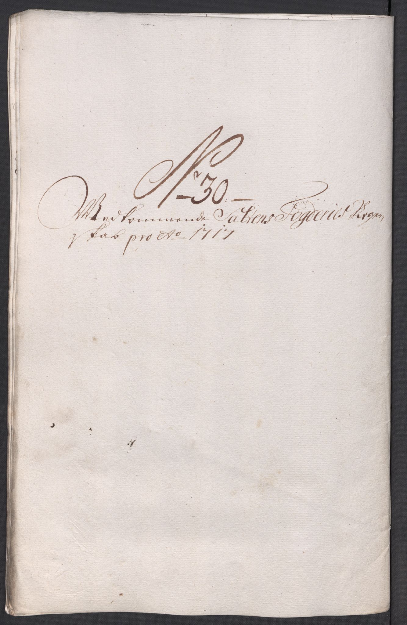 Rentekammeret inntil 1814, Reviderte regnskaper, Fogderegnskap, RA/EA-4092/R66/L4587: Fogderegnskap Salten, 1717, p. 226