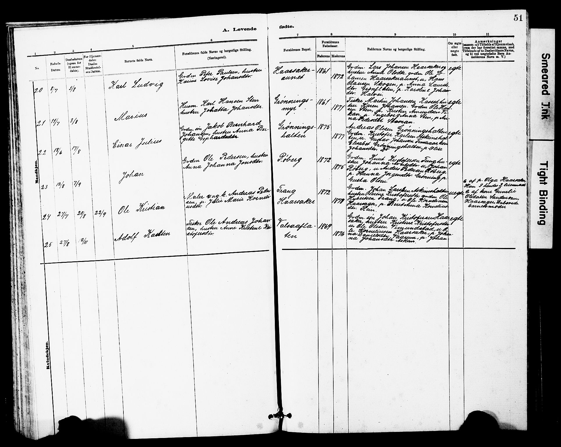 Ministerialprotokoller, klokkerbøker og fødselsregistre - Sør-Trøndelag, SAT/A-1456/646/L0628: Parish register (copy) no. 646C01, 1880-1903, p. 51