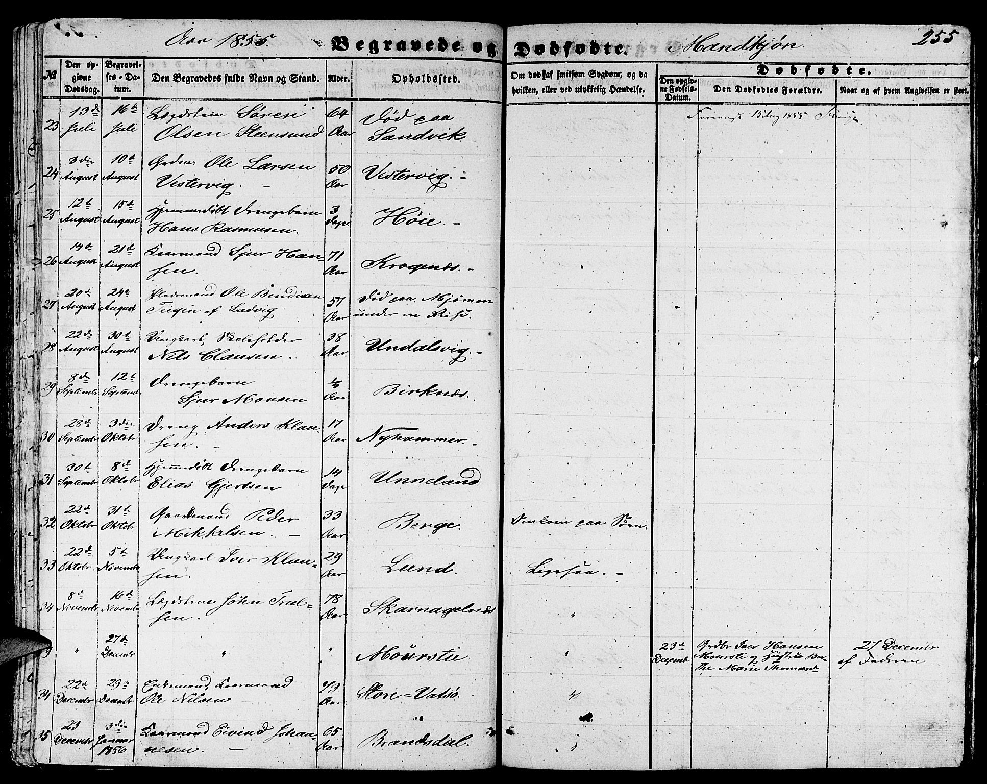 Gulen sokneprestembete, AV/SAB-A-80201/H/Hab/Habb/L0001: Parish register (copy) no. B 1, 1854-1866, p. 255