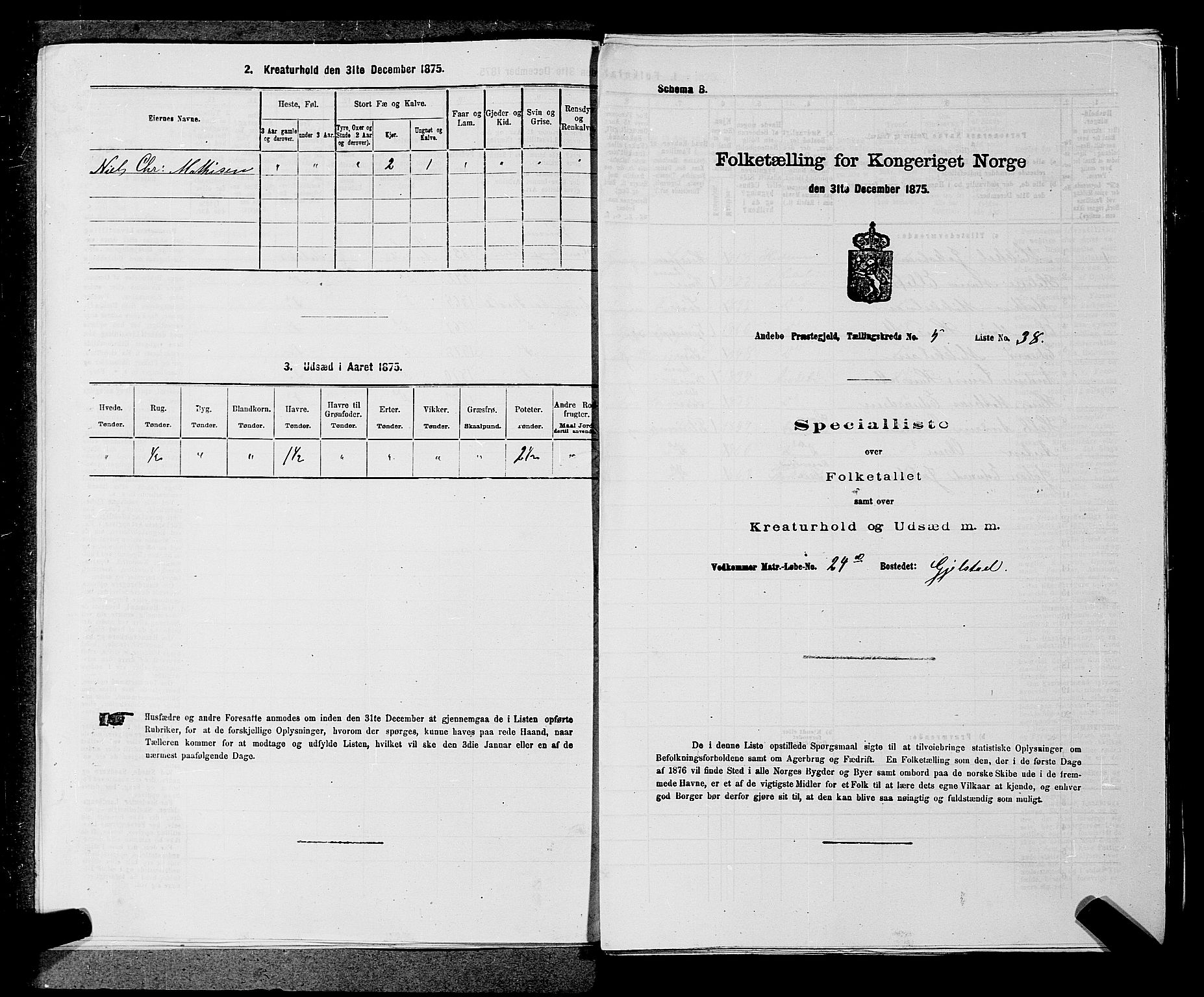 SAKO, 1875 census for 0719P Andebu, 1875, p. 463