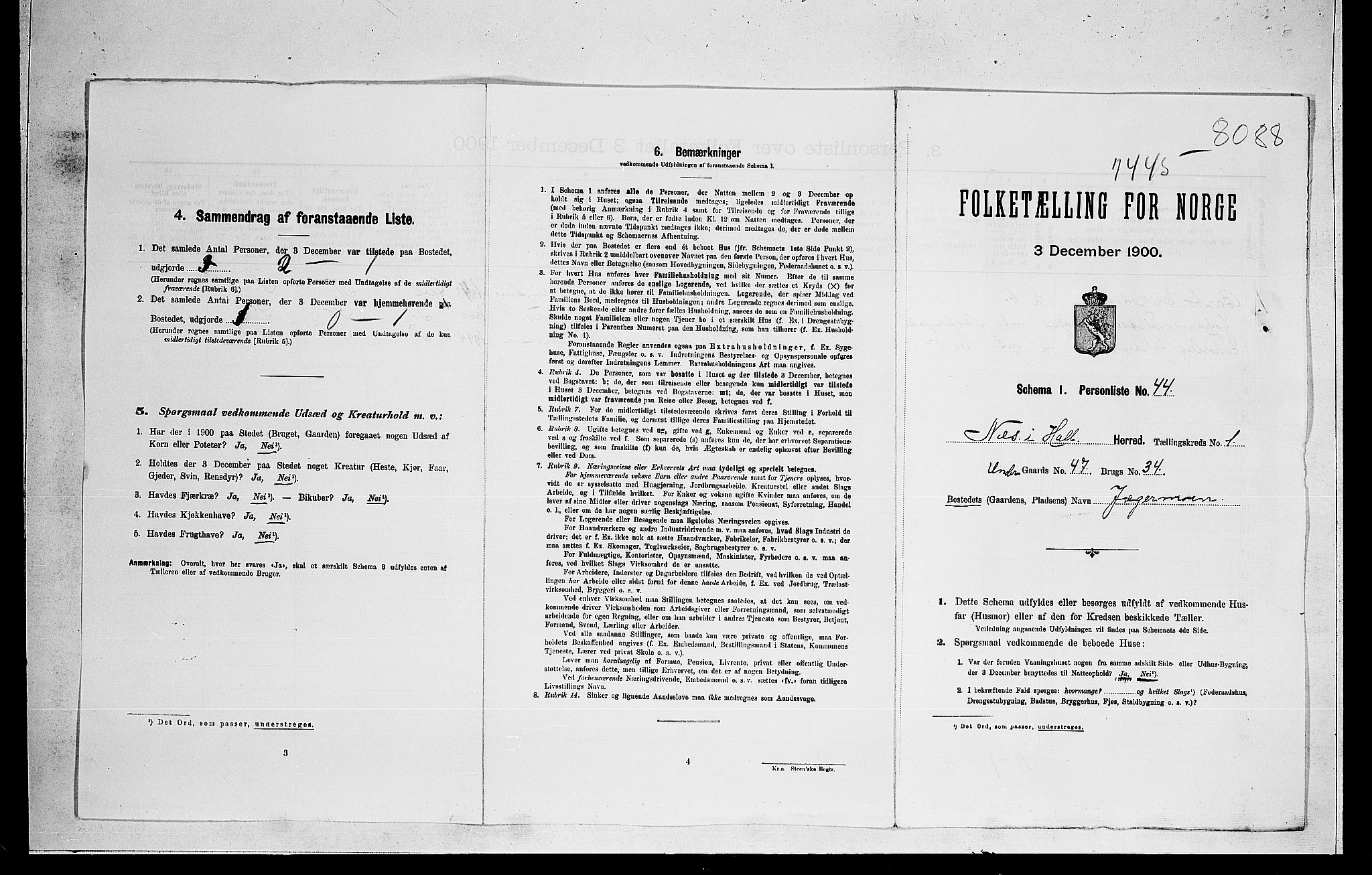 RA, 1900 census for Nes, 1900, p. 40