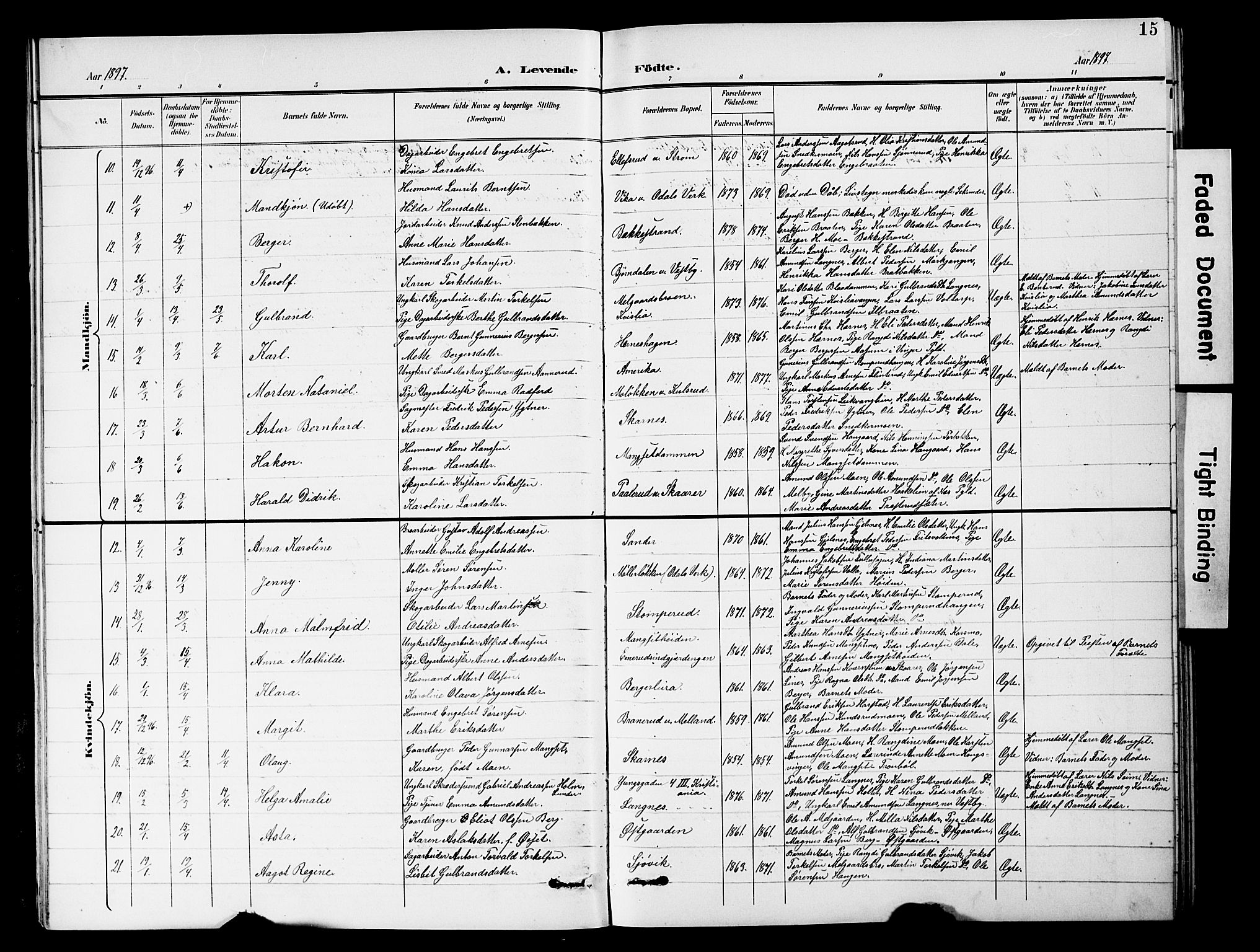 Sør-Odal prestekontor, AV/SAH-PREST-030/H/Ha/Hab/L0001: Parish register (copy) no. 1, 1895-1902, p. 15