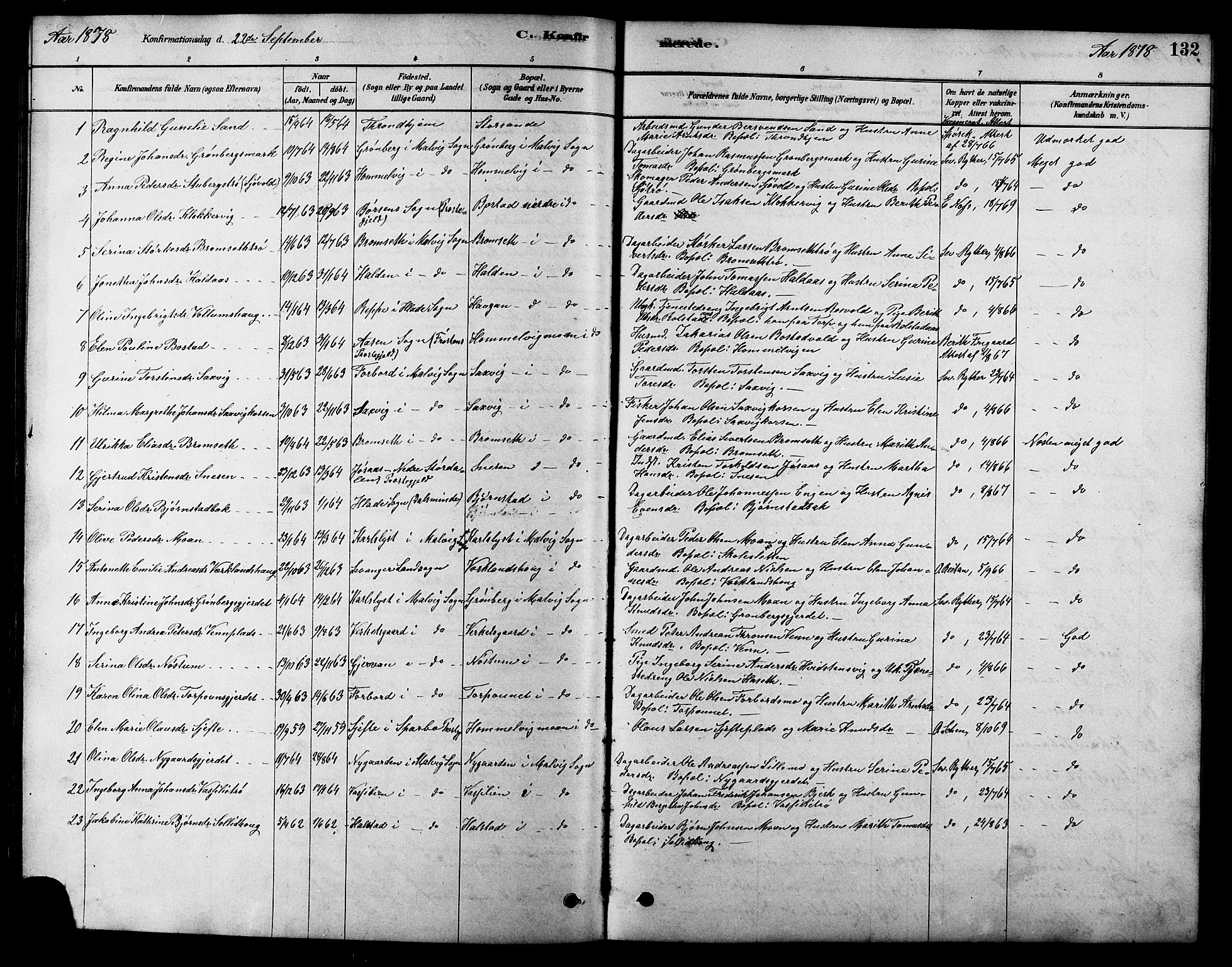 Ministerialprotokoller, klokkerbøker og fødselsregistre - Sør-Trøndelag, SAT/A-1456/616/L0423: Parish register (copy) no. 616C06, 1878-1903, p. 132
