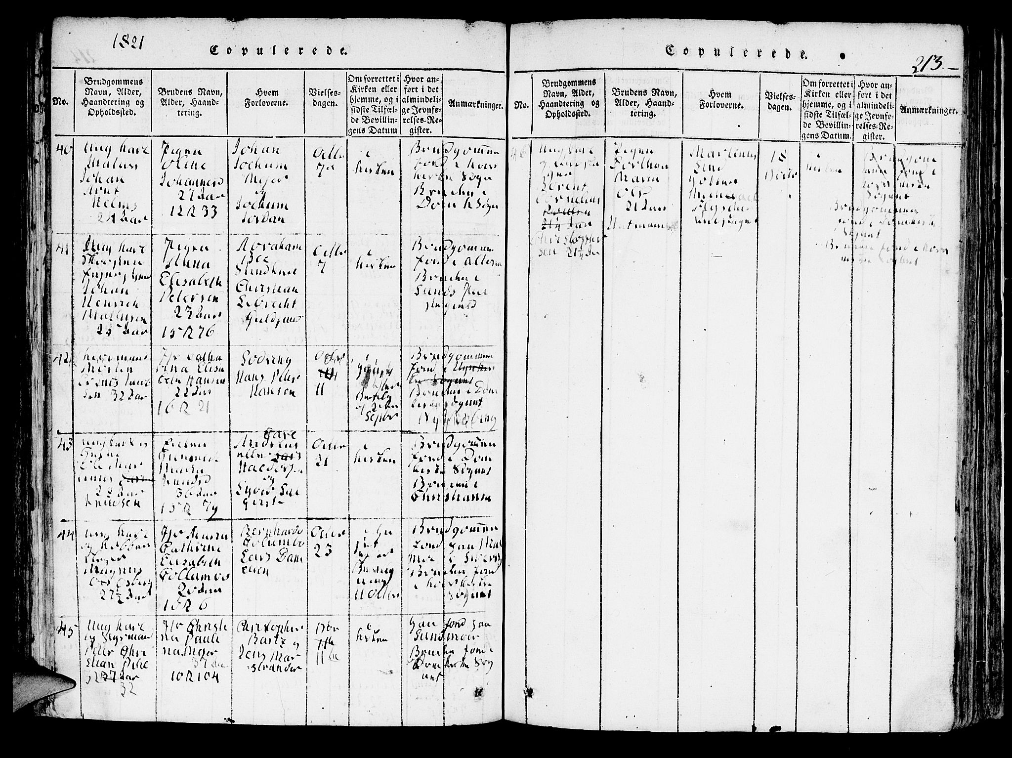 Domkirken sokneprestembete, AV/SAB-A-74801/H/Hab/L0001: Parish register (copy) no. A 1, 1816-1821, p. 213