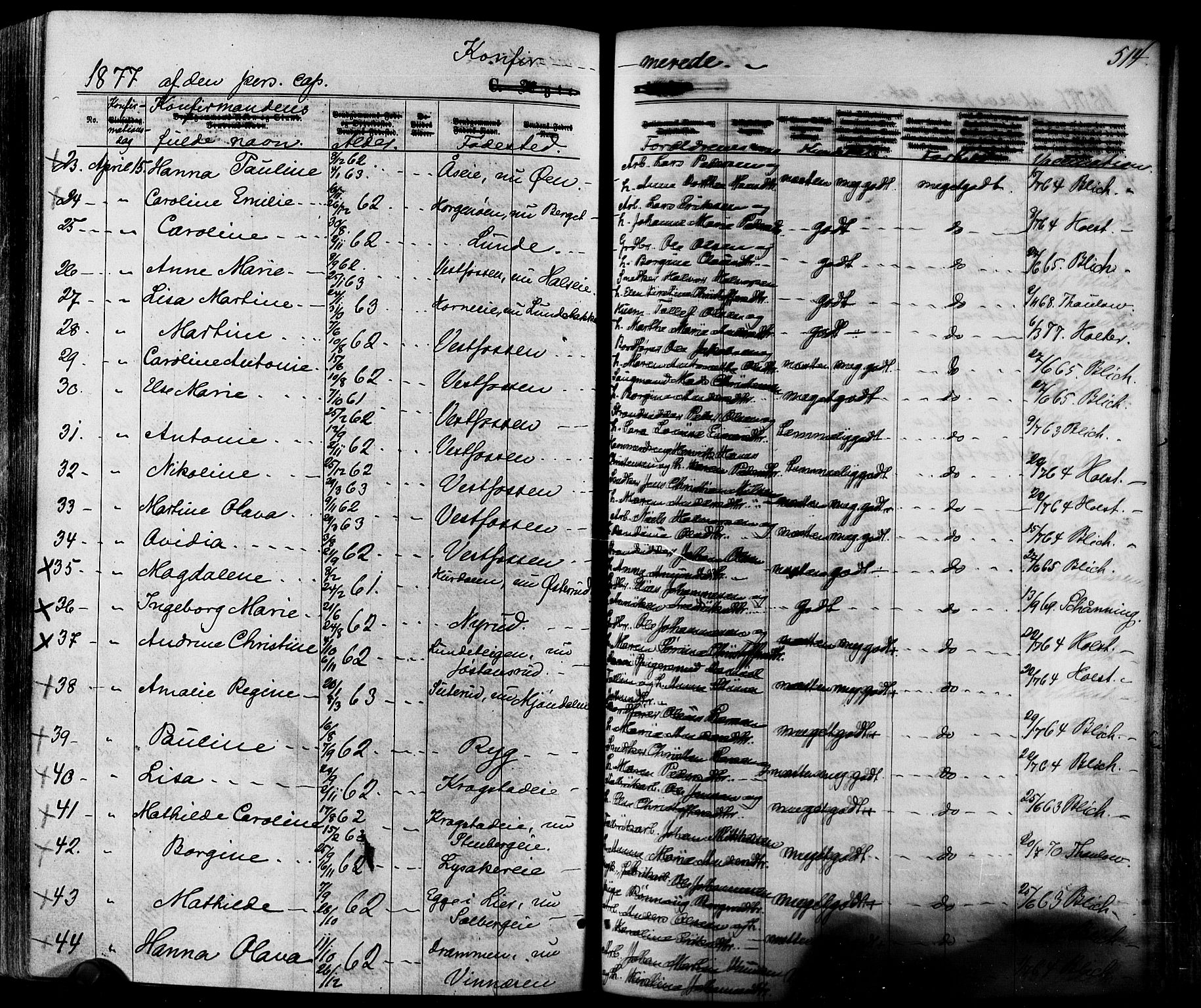 Eiker kirkebøker, SAKO/A-4/F/Fa/L0017: Parish register (official) no. I 17, 1869-1877, p. 514