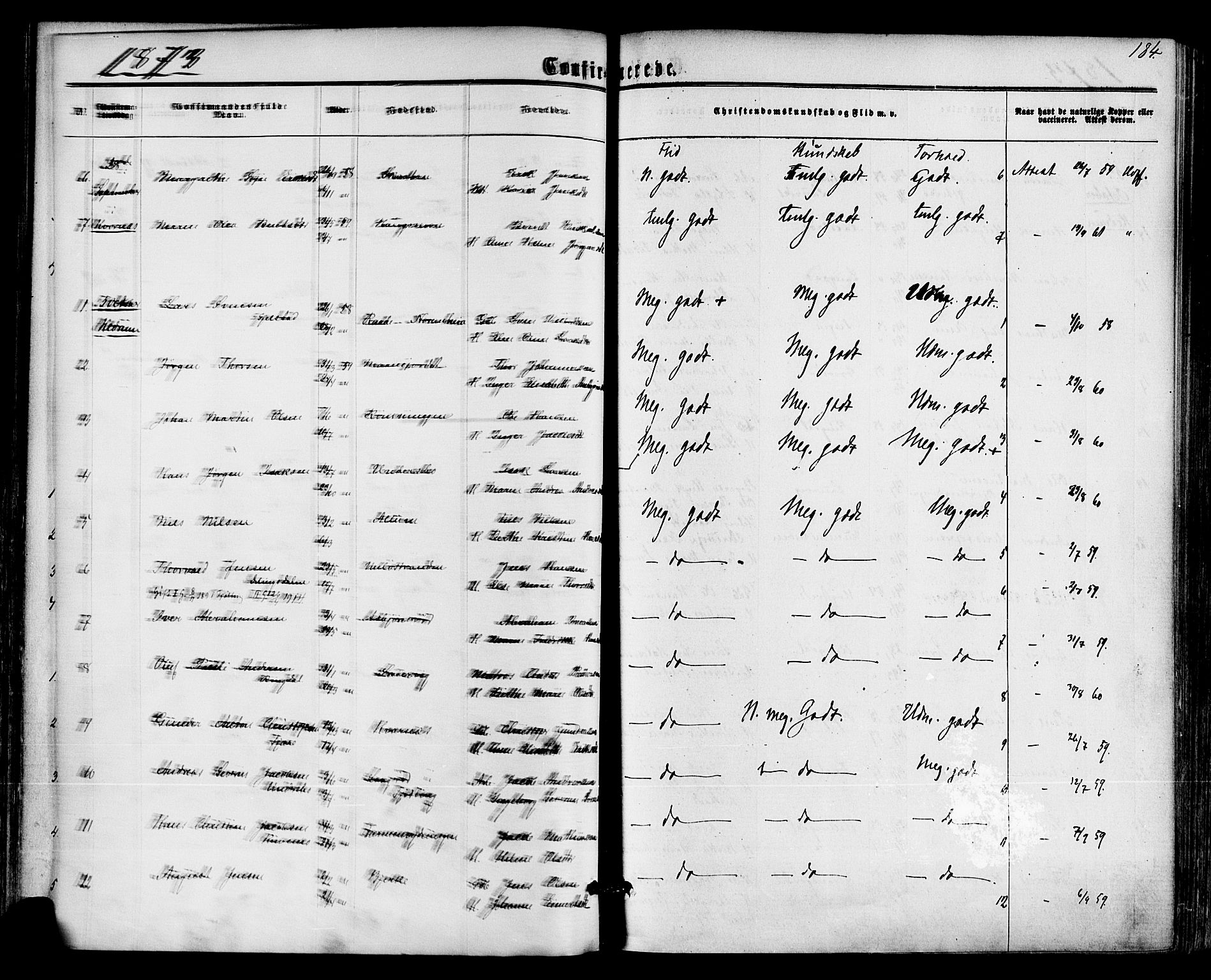 Hedrum kirkebøker, AV/SAKO-A-344/F/Fa/L0008: Parish register (official) no. I 8, 1869-1880, p. 184