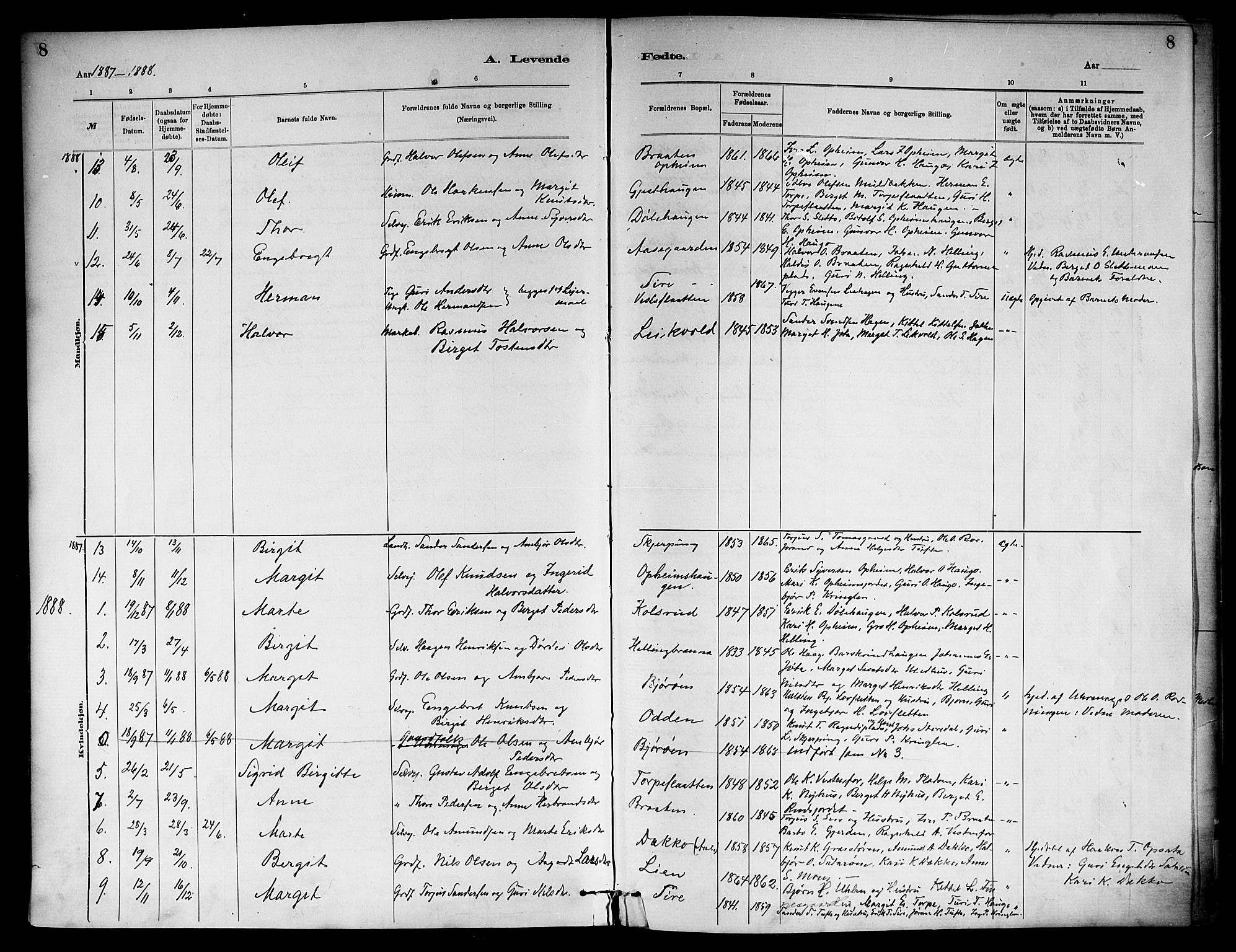 Ål kirkebøker, SAKO/A-249/F/Fb/L0001: Parish register (official) no. II 1, 1882-1899, p. 8