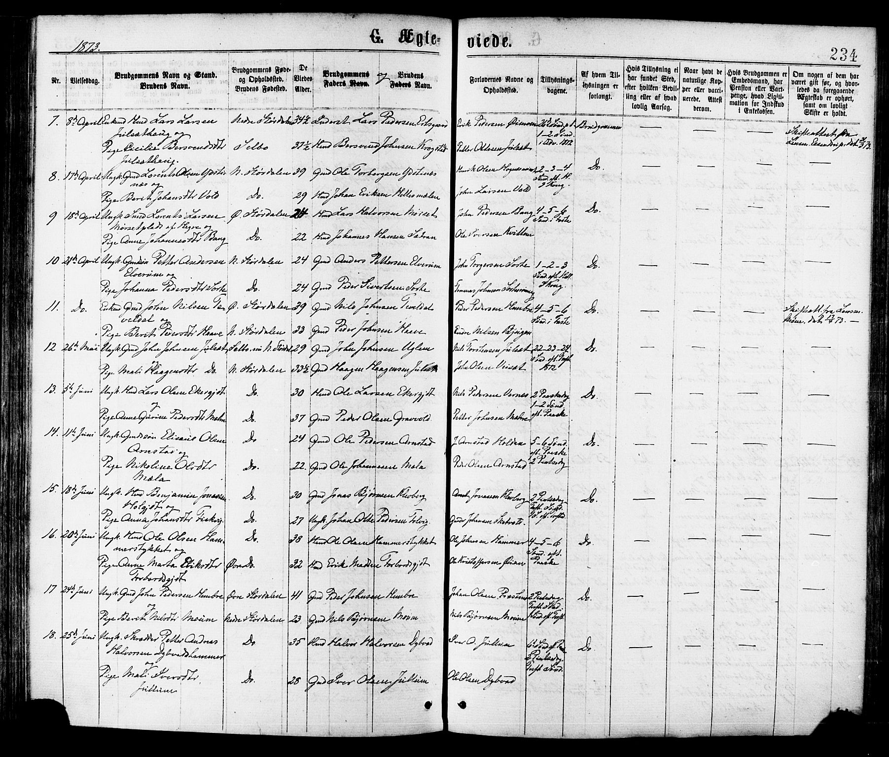 Ministerialprotokoller, klokkerbøker og fødselsregistre - Nord-Trøndelag, AV/SAT-A-1458/709/L0076: Parish register (official) no. 709A16, 1871-1879, p. 234