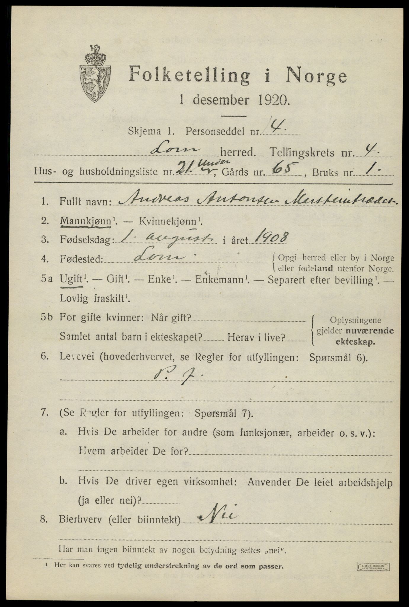 SAH, 1920 census for Lom, 1920, p. 2866