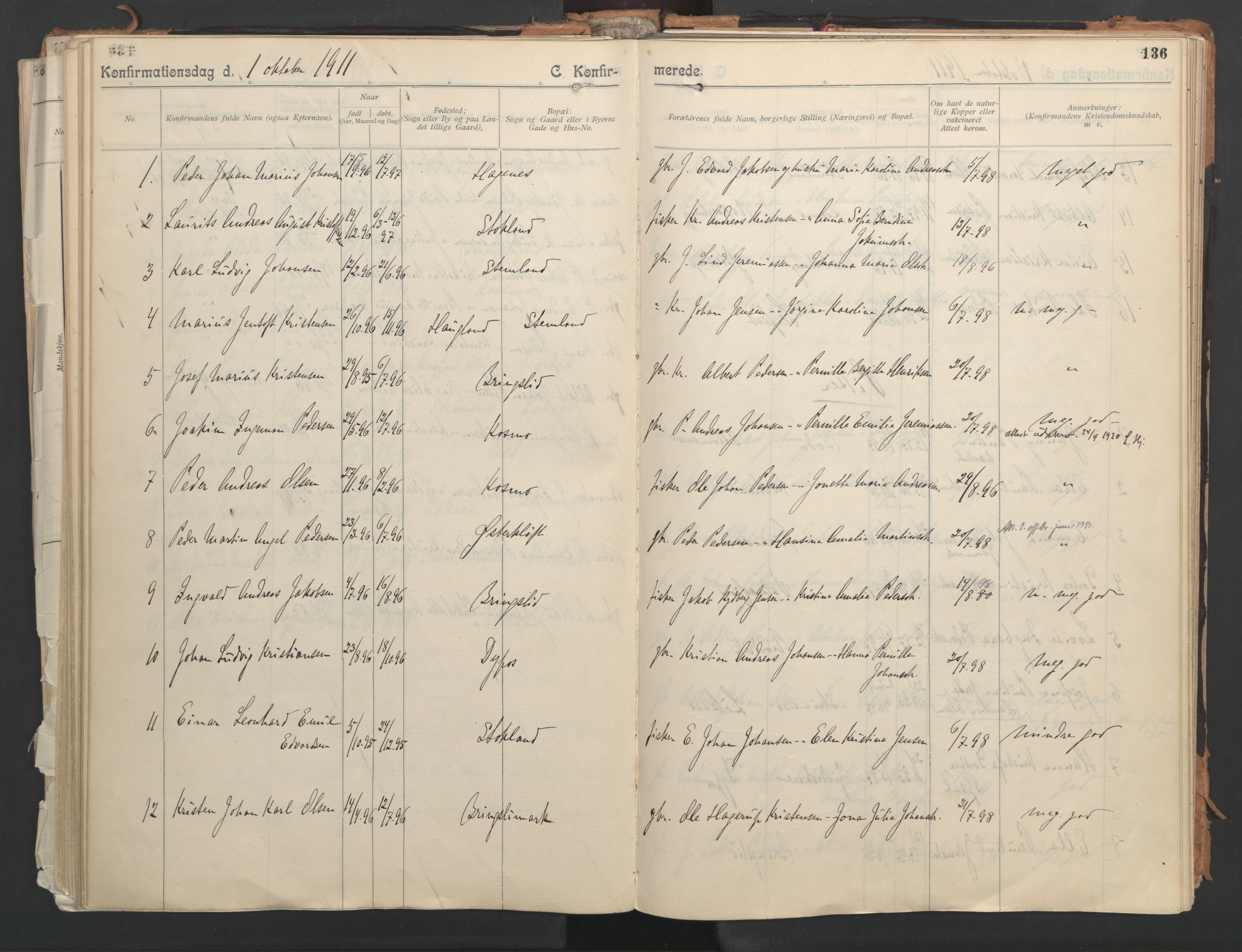 Ministerialprotokoller, klokkerbøker og fødselsregistre - Nordland, AV/SAT-A-1459/851/L0724: Parish register (official) no. 851A01, 1901-1922, p. 136