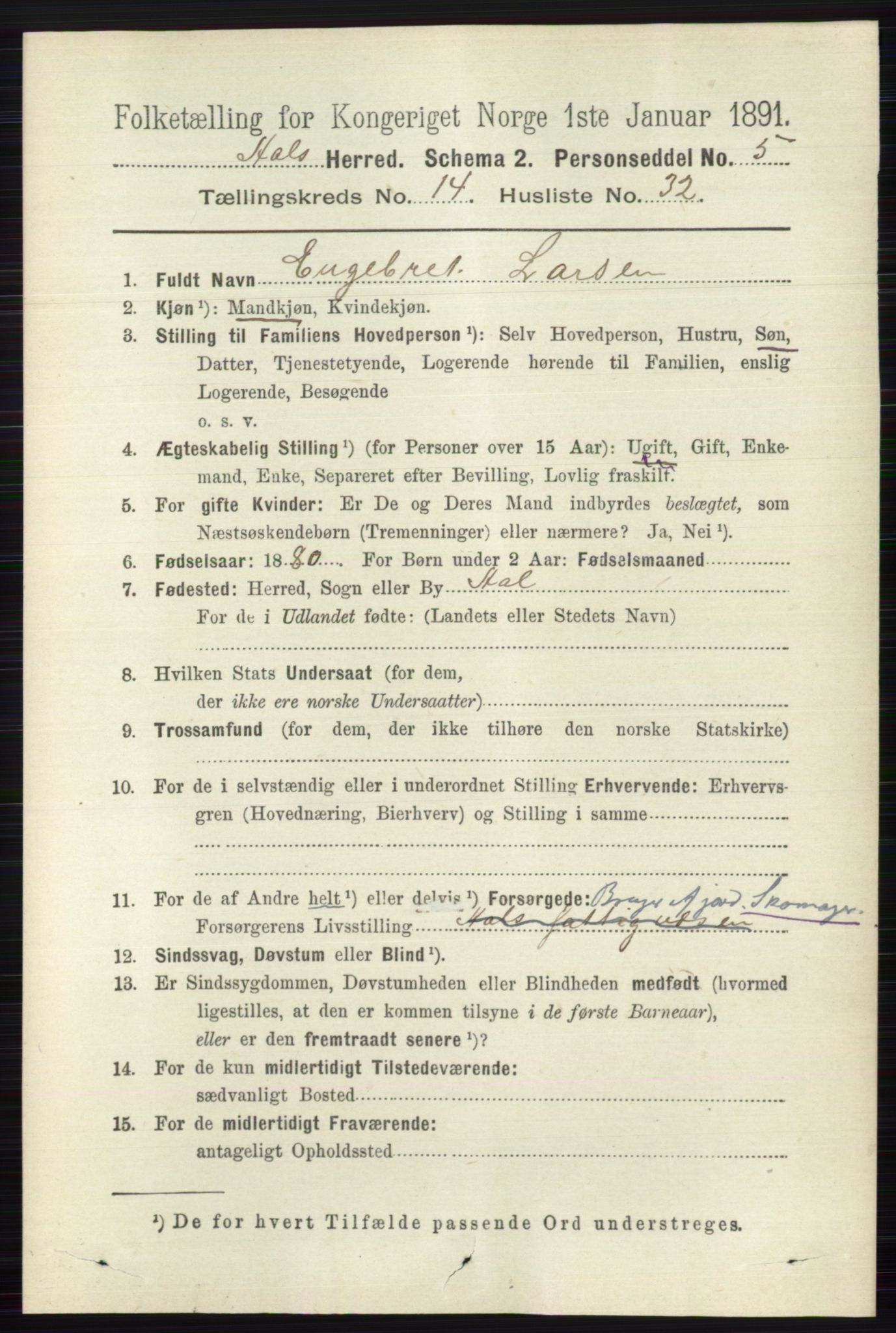 RA, 1891 census for 0619 Ål, 1891, p. 3700