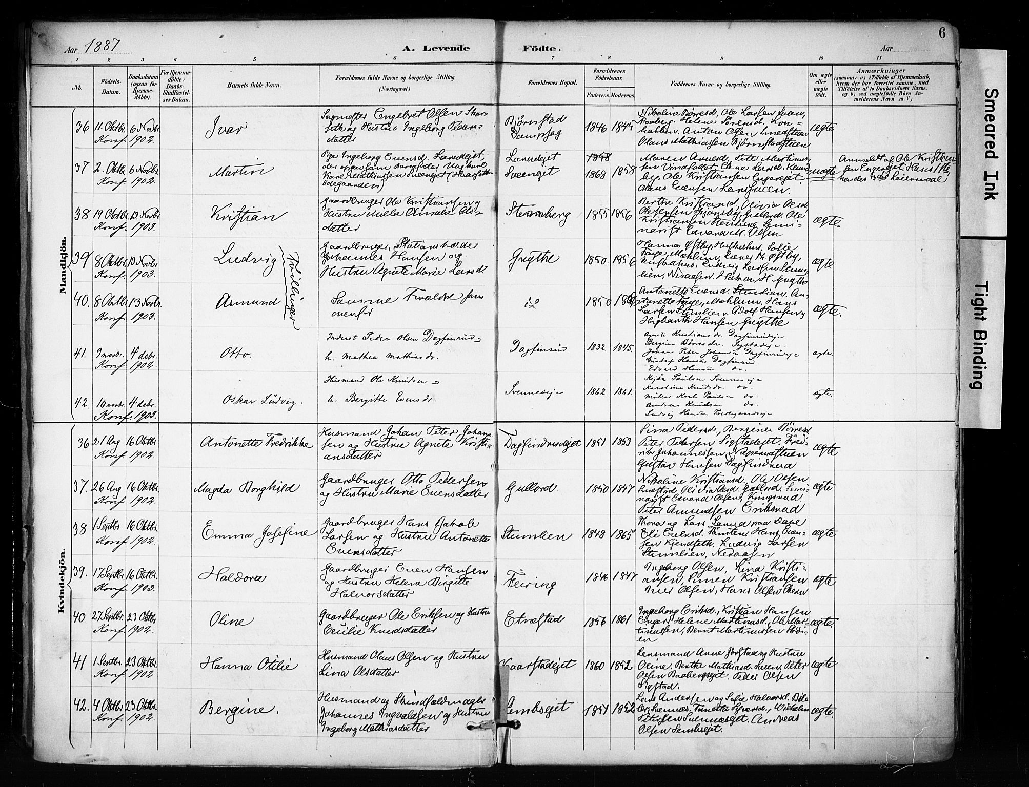 Biri prestekontor, AV/SAH-PREST-096/H/Ha/Haa/L0009: Parish register (official) no. 9, 1887-1900, p. 6