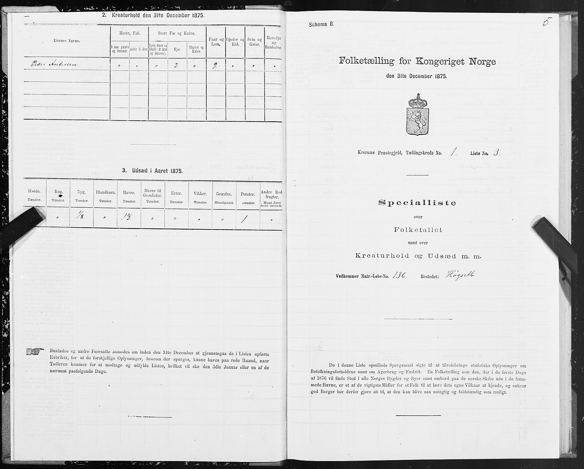 SAT, 1875 census for 1553P Kvernes, 1875, p. 1005