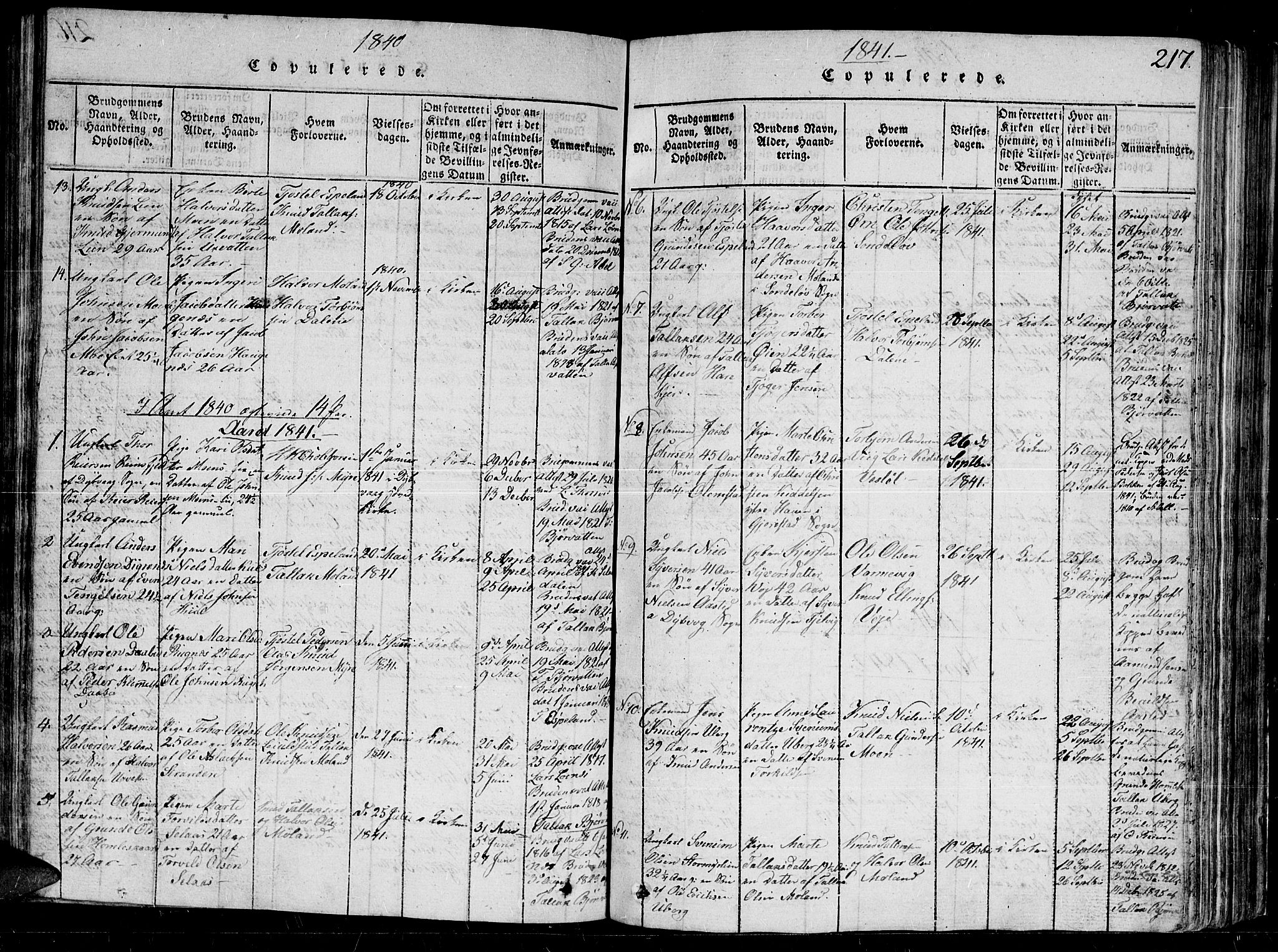 Gjerstad sokneprestkontor, SAK/1111-0014/F/Fb/Fbb/L0001: Parish register (copy) no. B 1, 1813-1863, p. 217