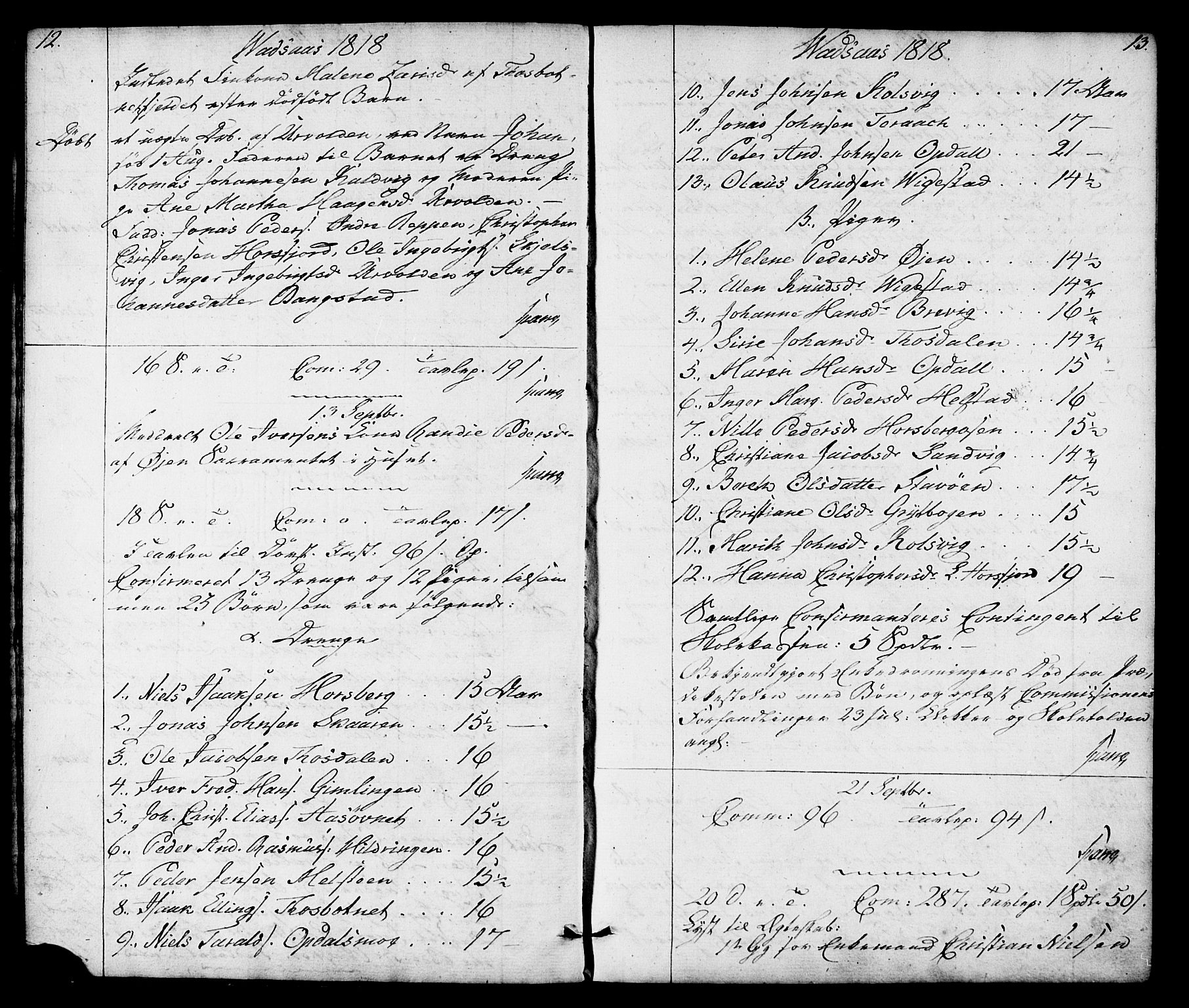 Ministerialprotokoller, klokkerbøker og fødselsregistre - Nordland, SAT/A-1459/810/L0140: Parish register (official) no. 810A04, 1817-1819, p. 12-13