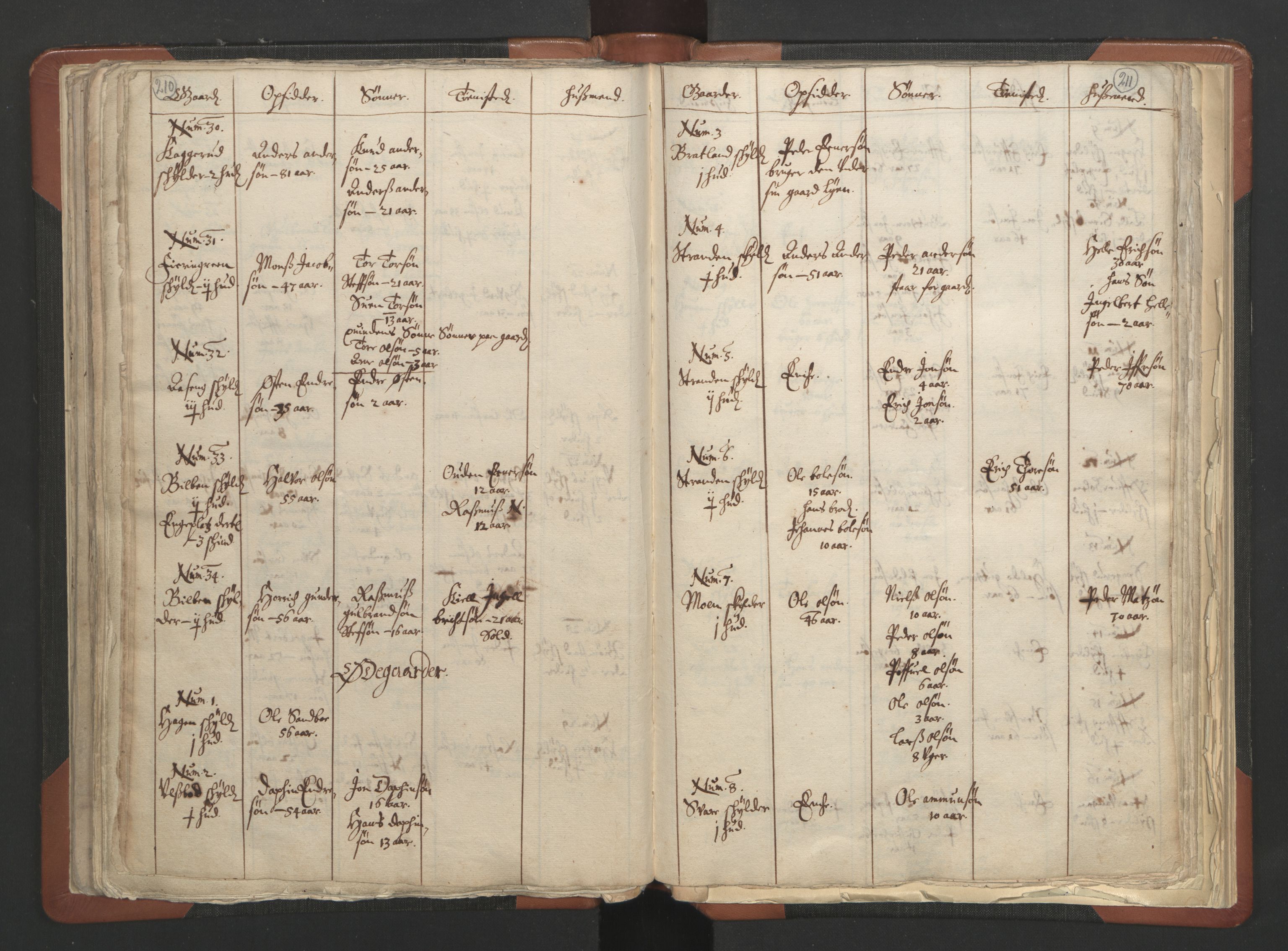 RA, Vicar's Census 1664-1666, no. 6: Gudbrandsdal deanery, 1664-1666, p. 210-211