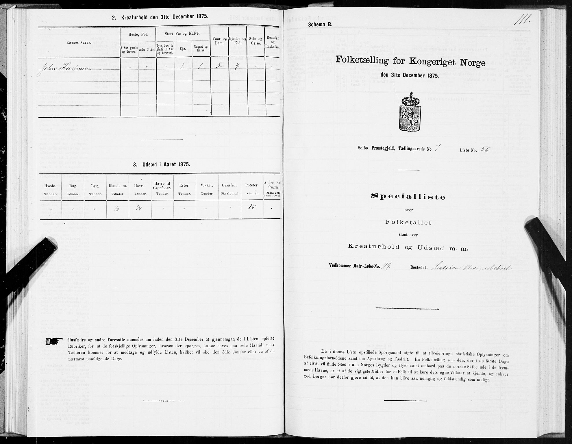 SAT, 1875 census for 1664P Selbu, 1875, p. 4111