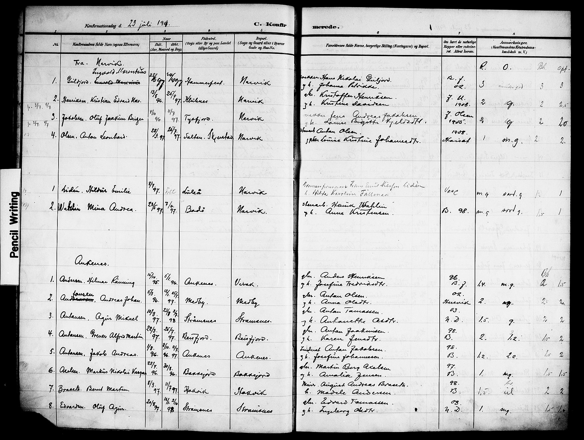 Ministerialprotokoller, klokkerbøker og fødselsregistre - Nordland, AV/SAT-A-1459/866/L0955: Parish register (copy) no. 866C04, 1905-1914